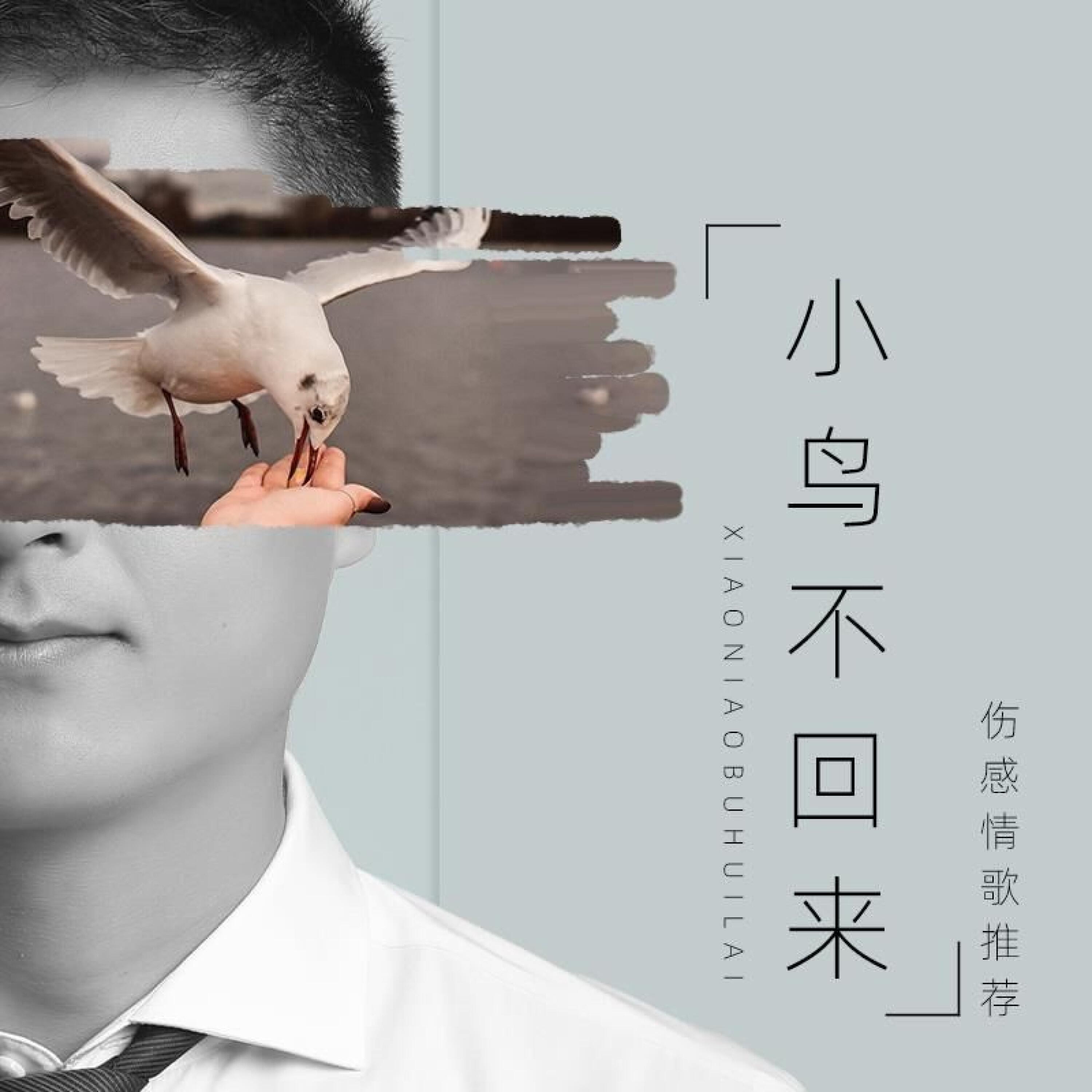Релиз 小鸟不回来