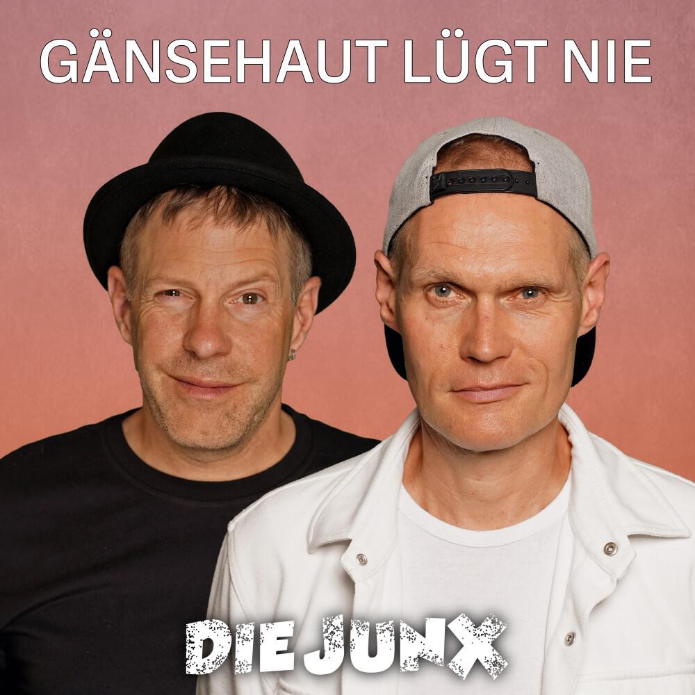 Релиз Gänsehaut lügt nie