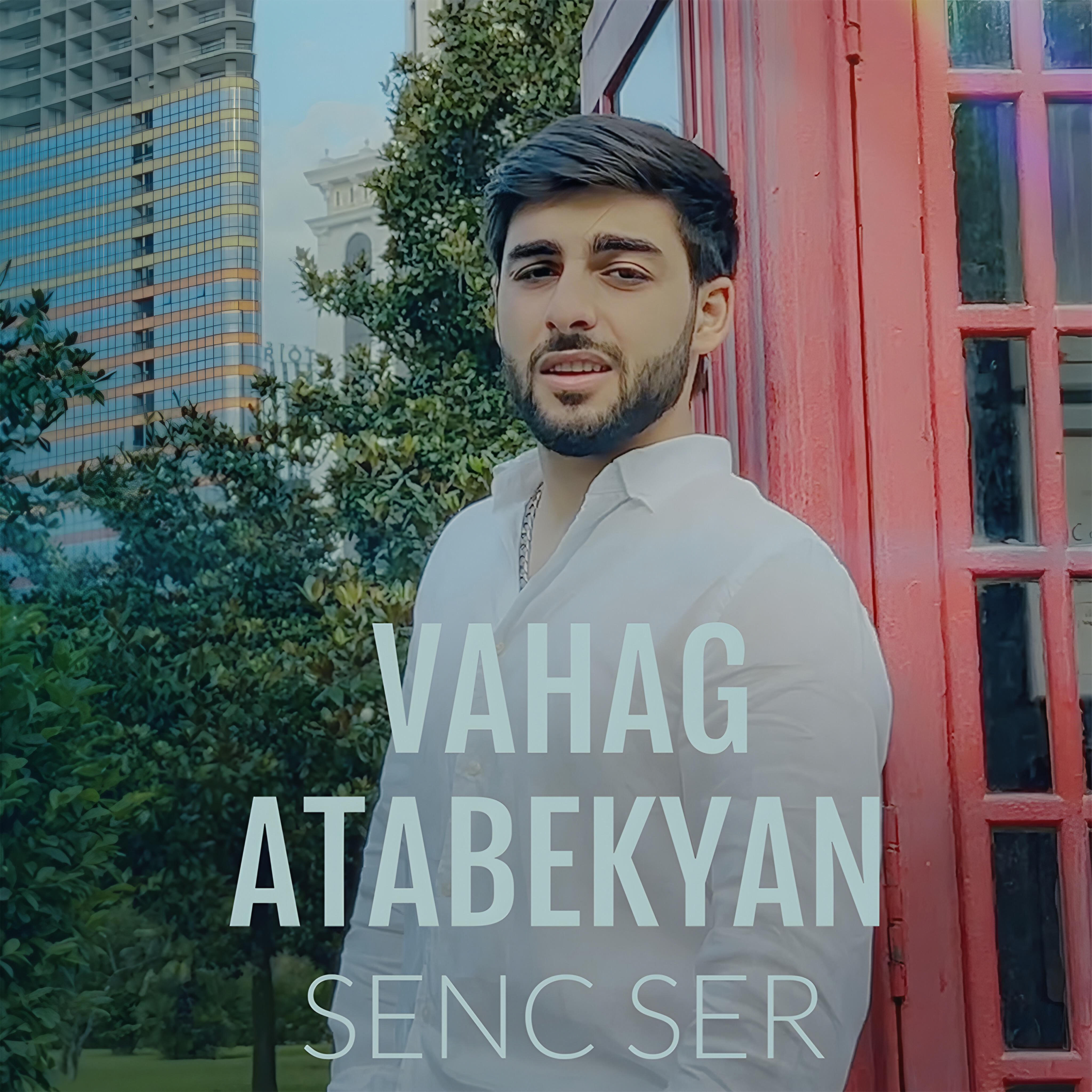 Релиз SENC SER