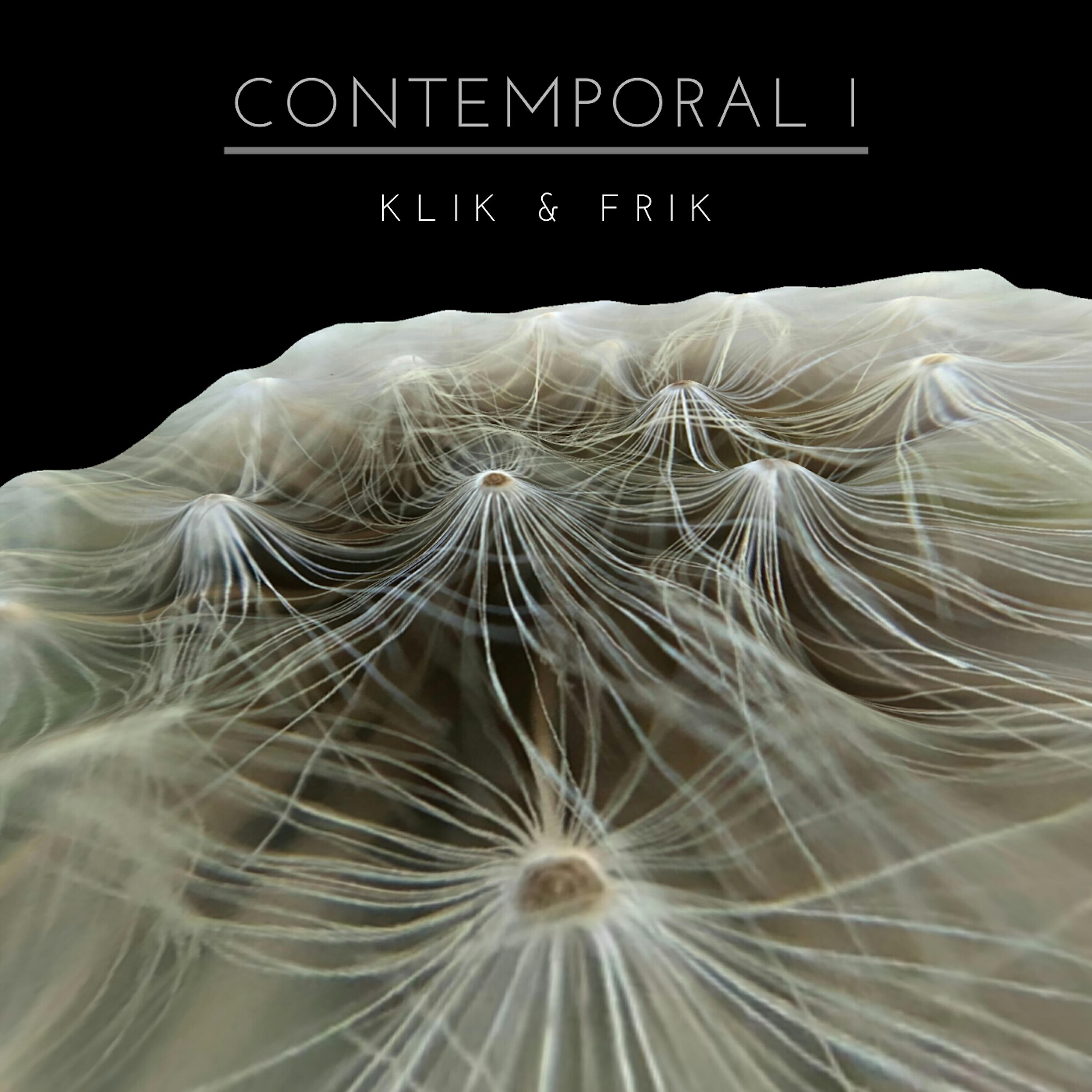 Постер альбома Contemporal I