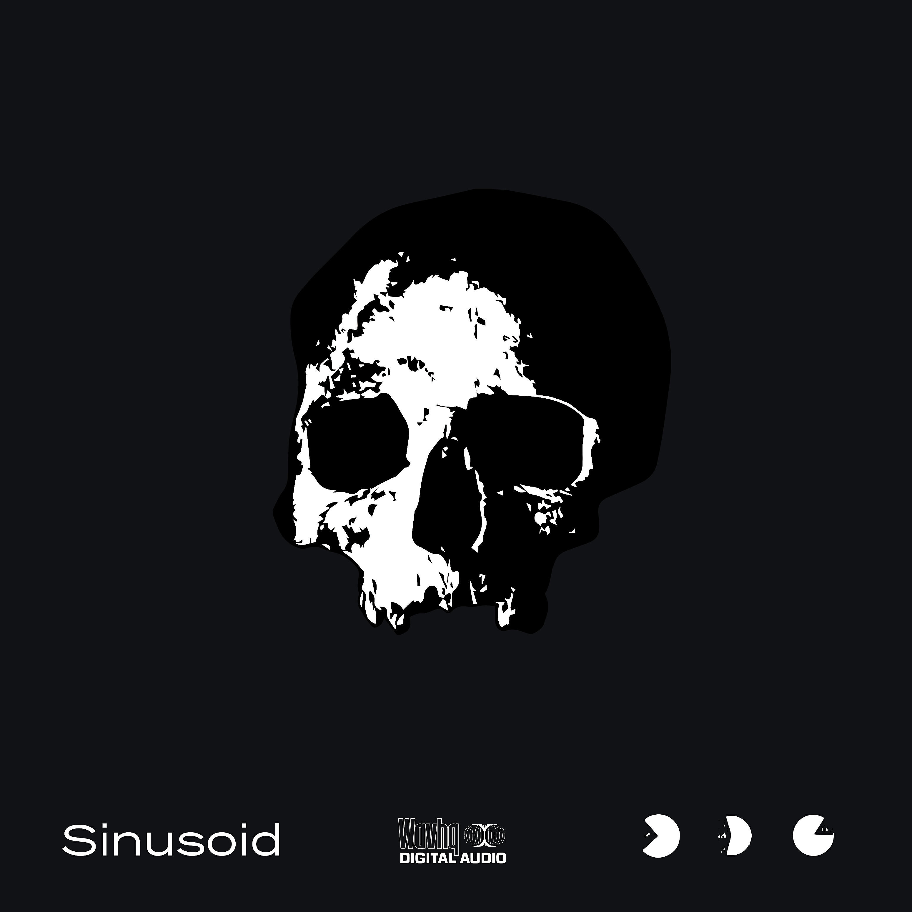 Релиз Sinusoid