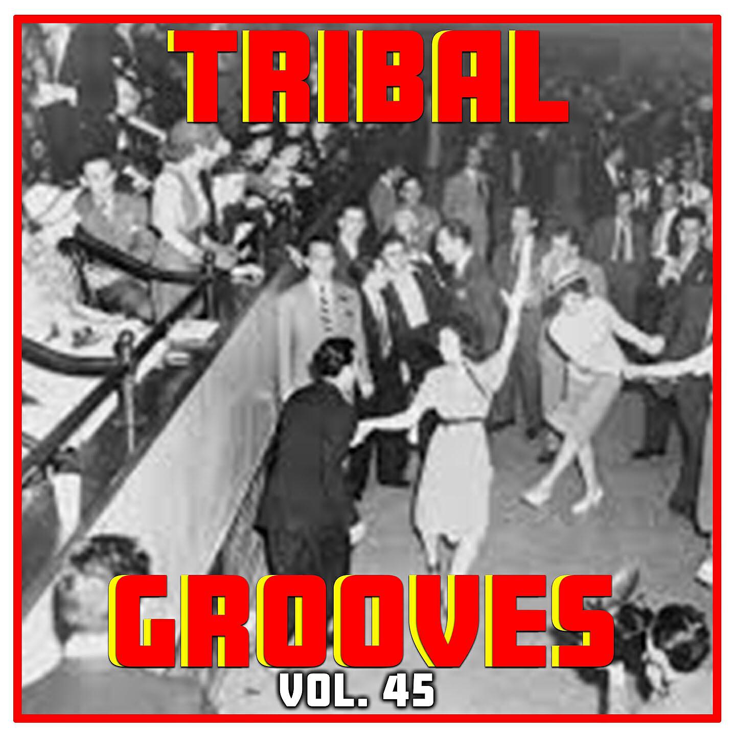 Релиз Tribal Grooves Vol. 45
