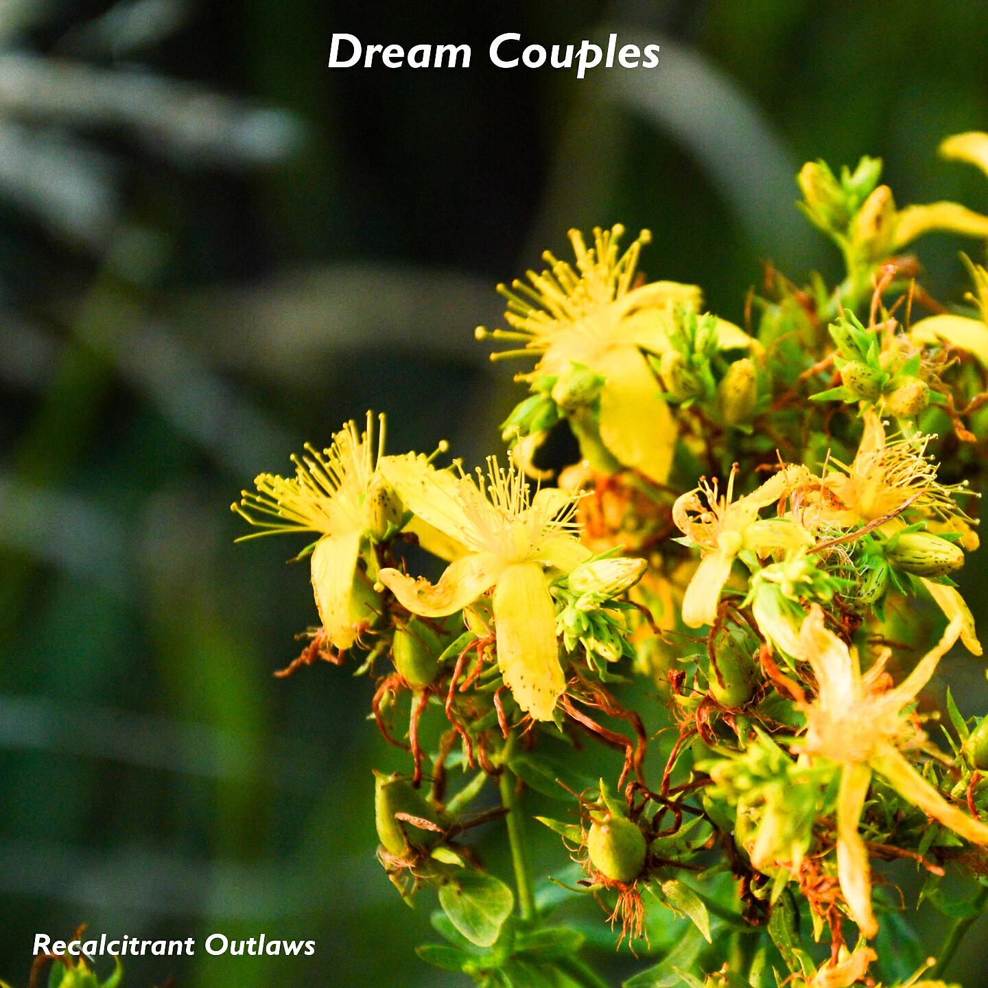 Релиз Dream Couples