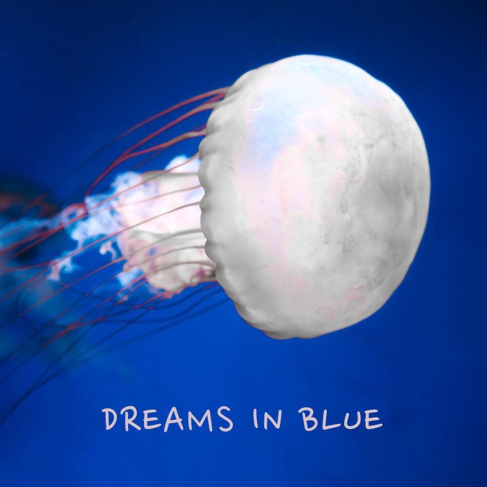 Релиз Dreams in Blue