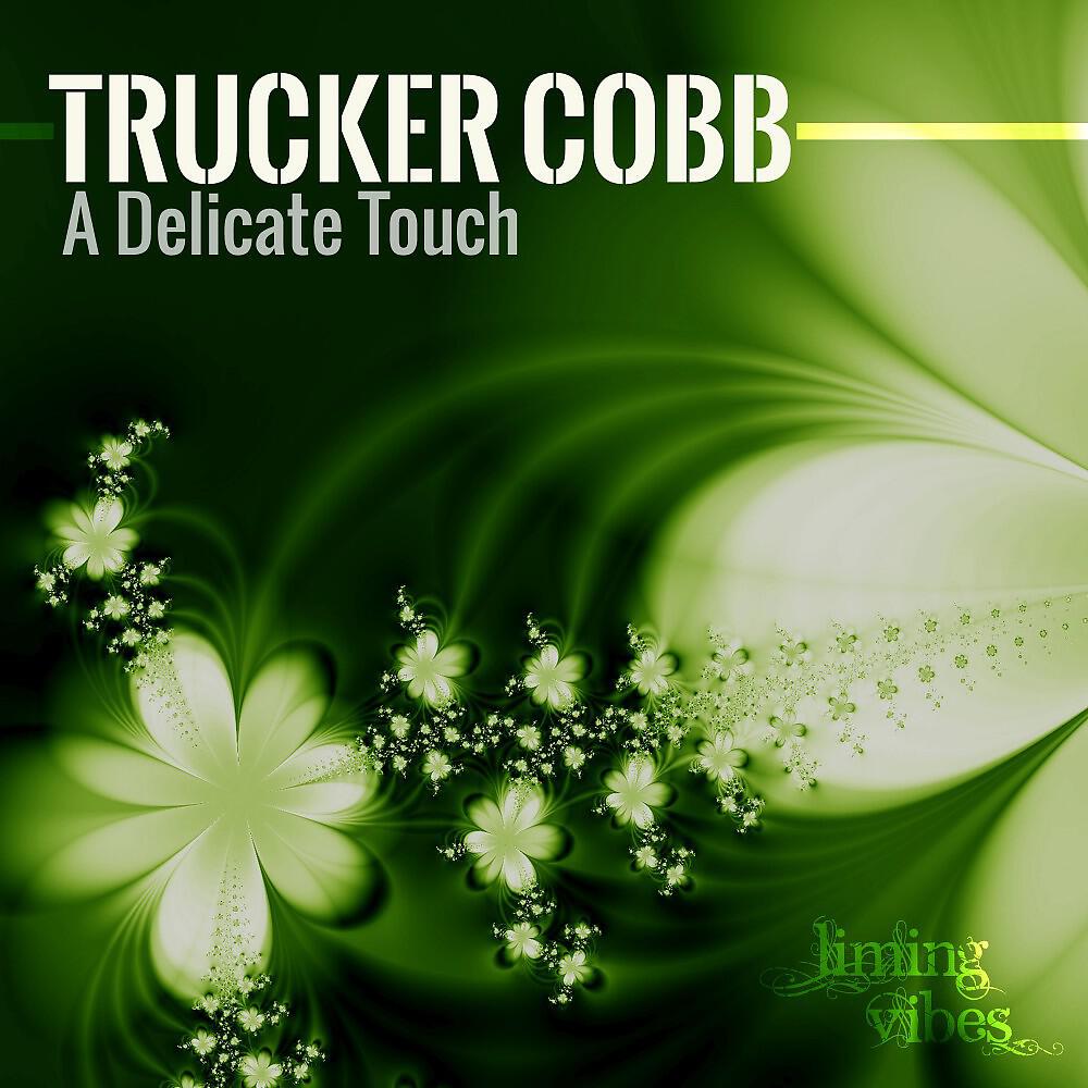 Релиз A Delicate Touch