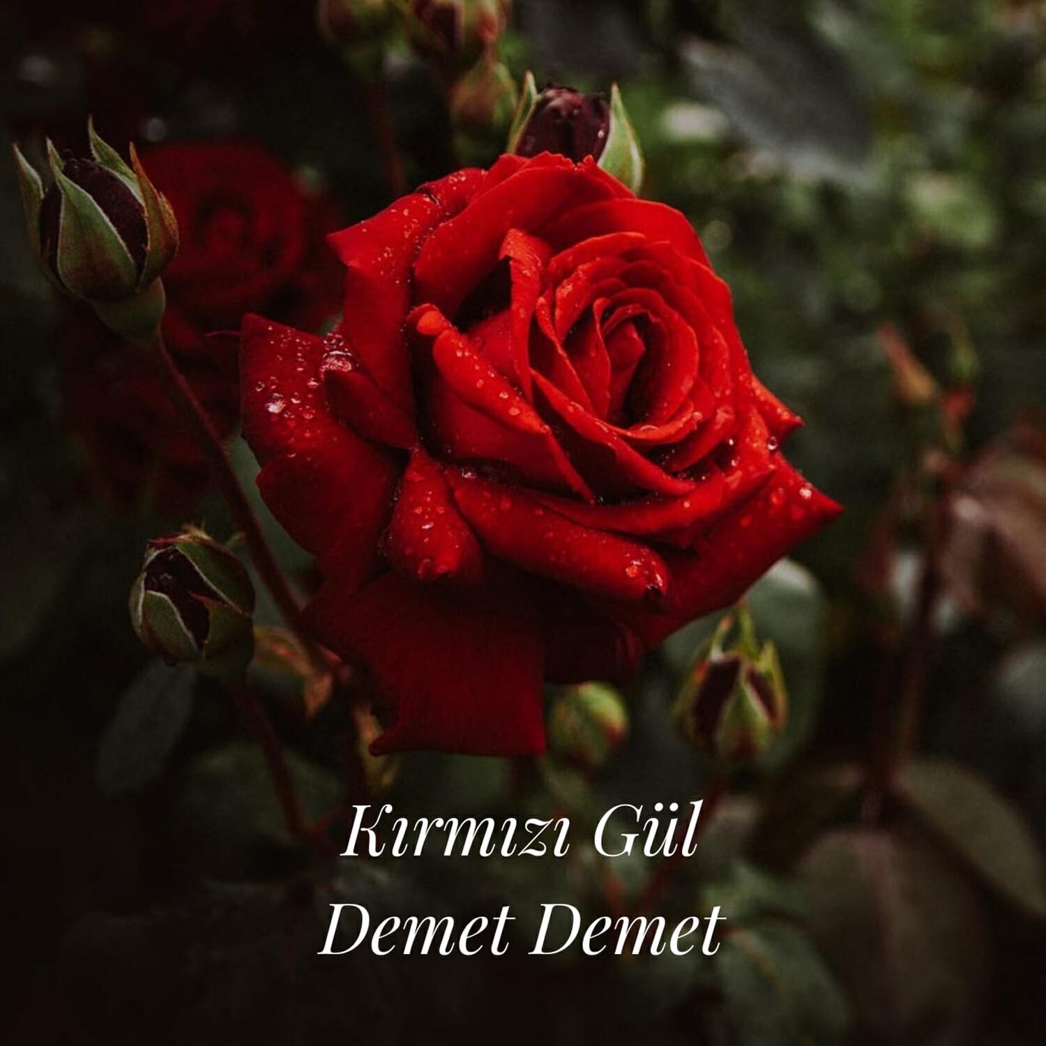 Релиз Kırmızı Gül Demet Demet