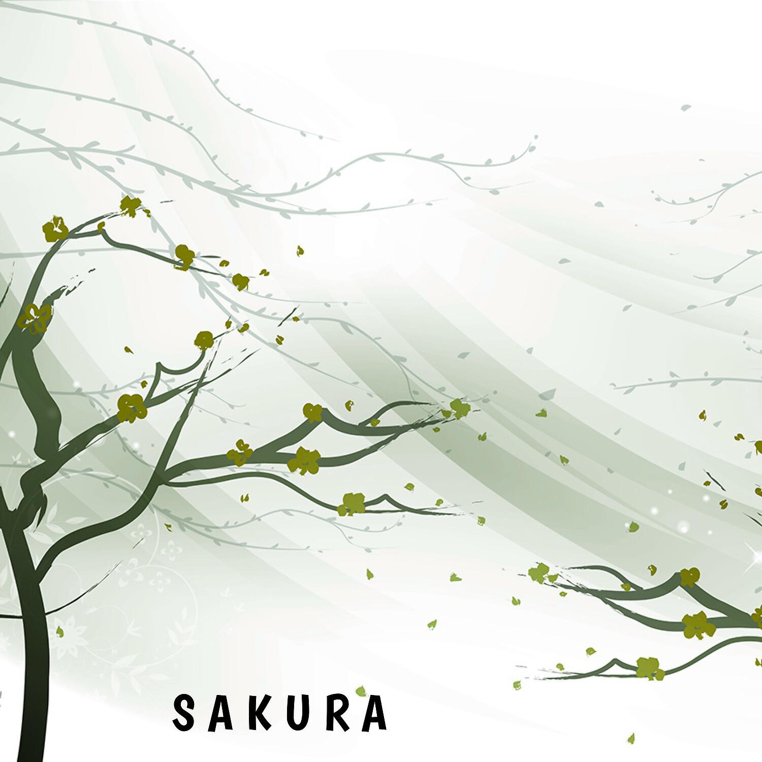 Релиз Sakura