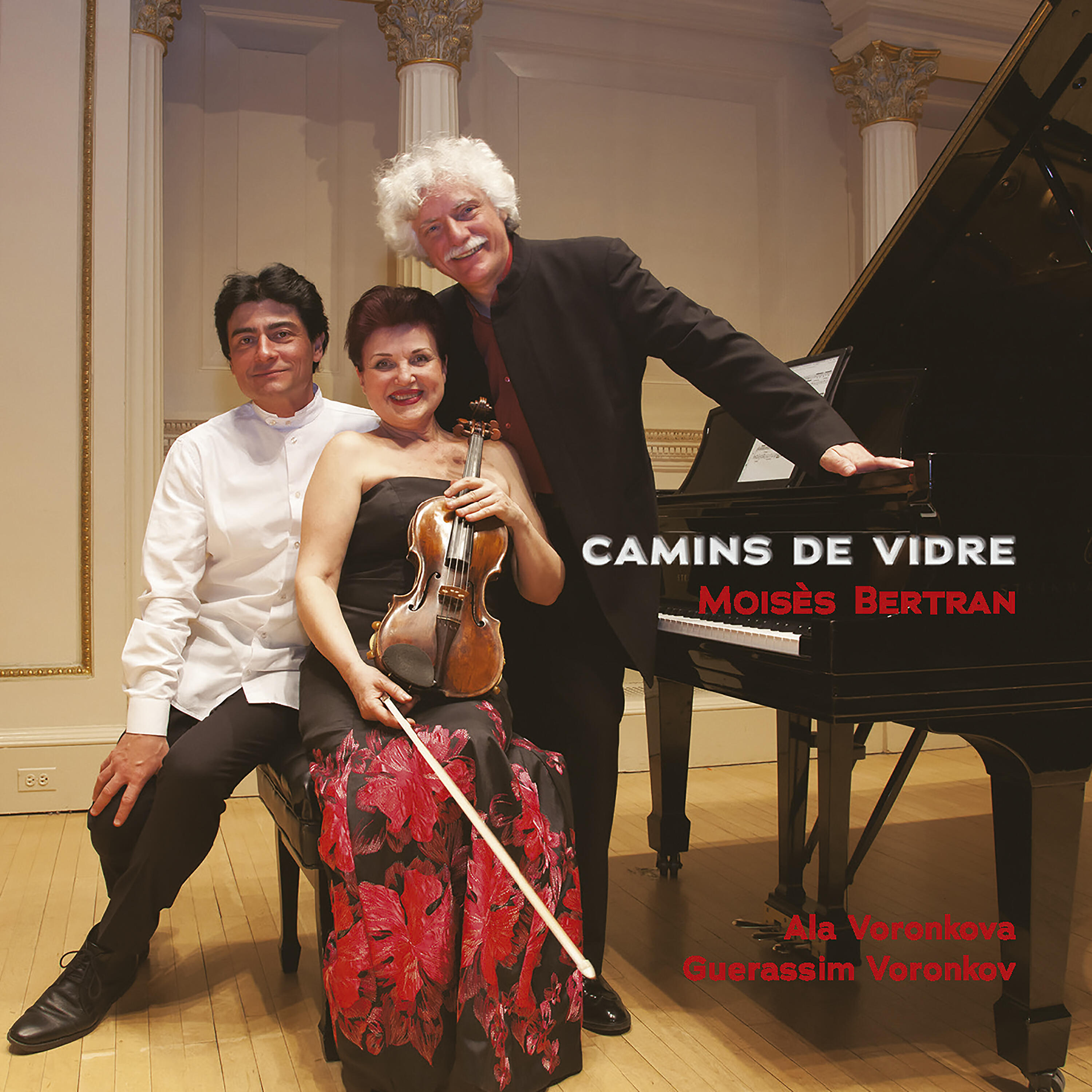 Постер альбома Camins de vidre