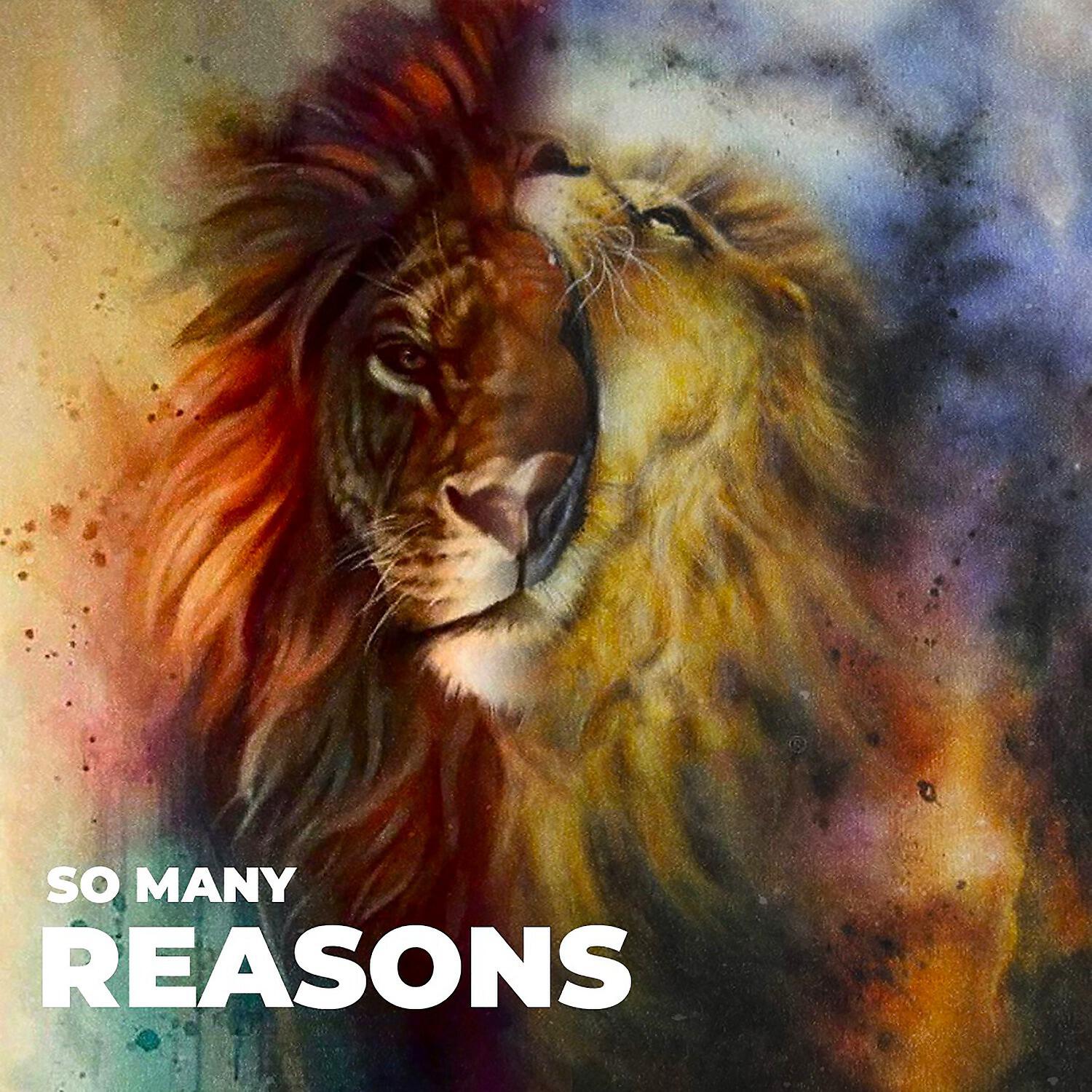Релиз So Many Reasons