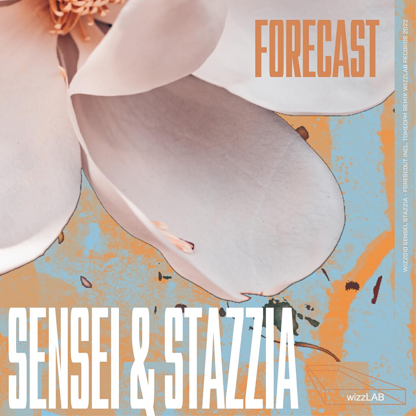 Релиз Forecast
