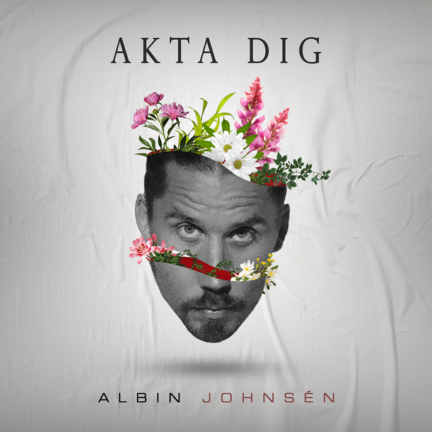 Релиз Akta dig