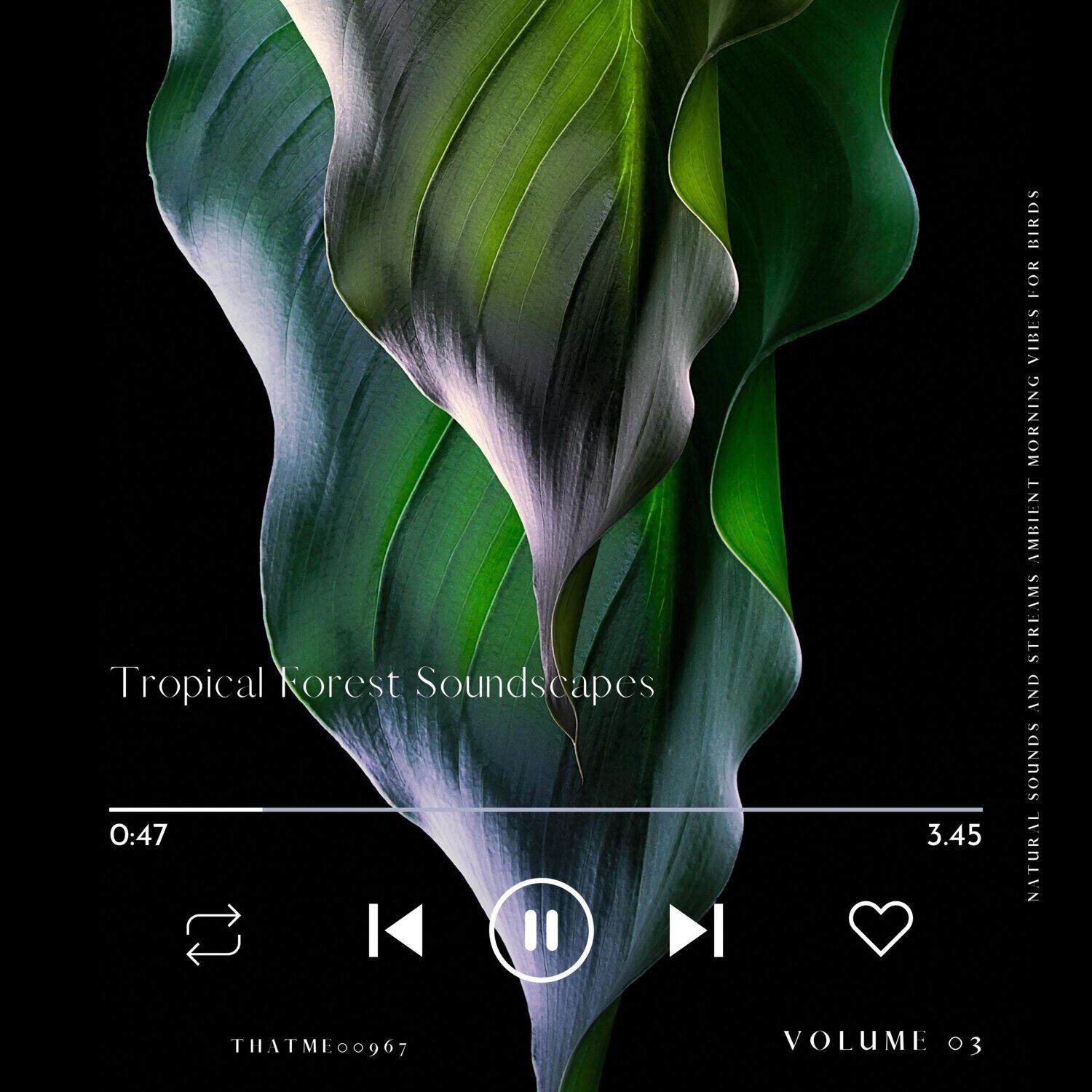 Релиз Tropical Forest Soundscapes - Natural Sounds and Streams Ambient Morning Vibes for Birds, Vol. 03