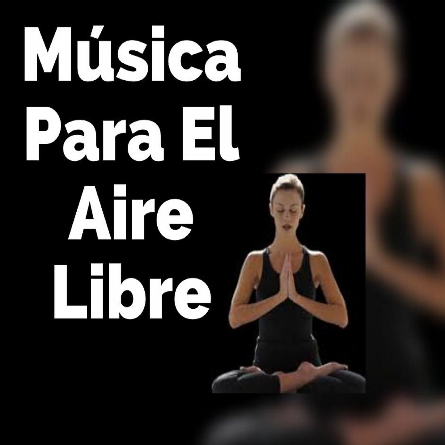 Постер альбома Música para el Aire Libre