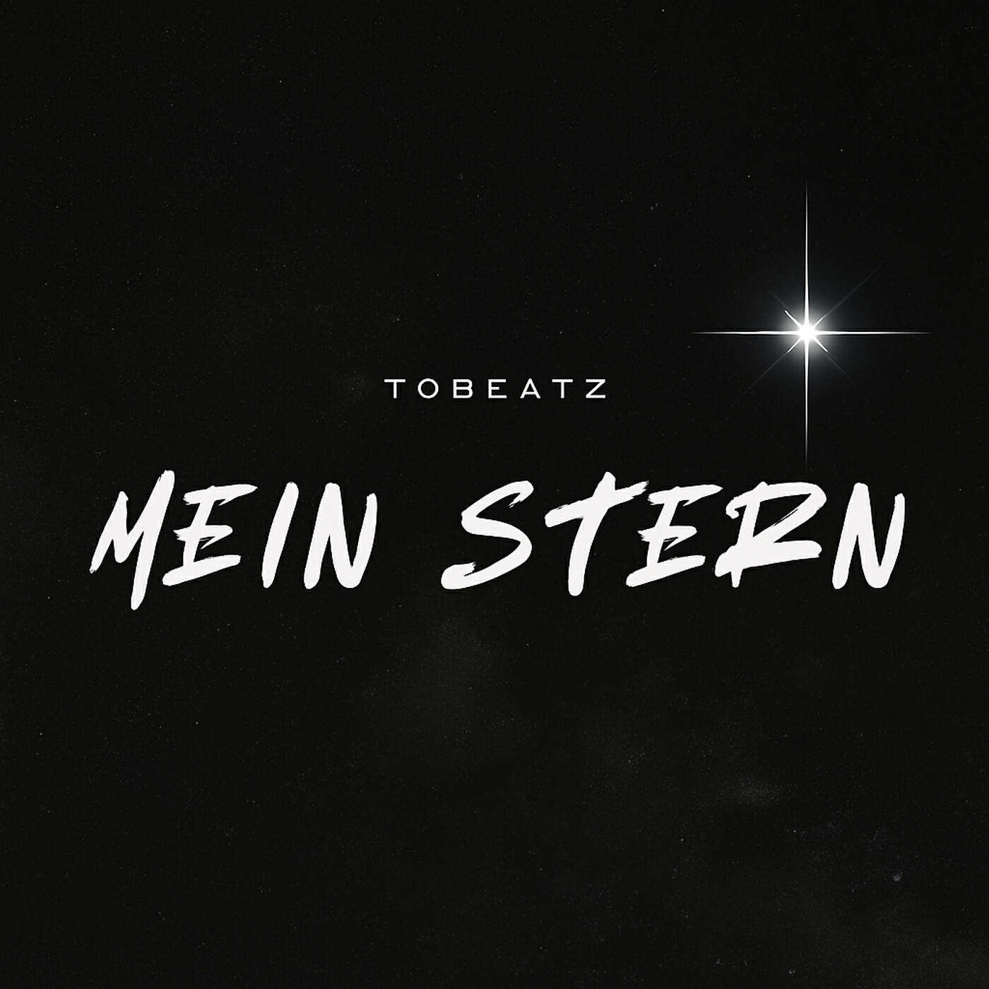Релиз Mein Stern