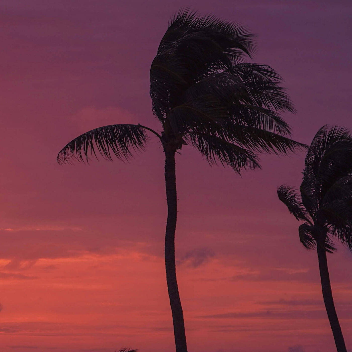 Релиз Beach House at Sunset
