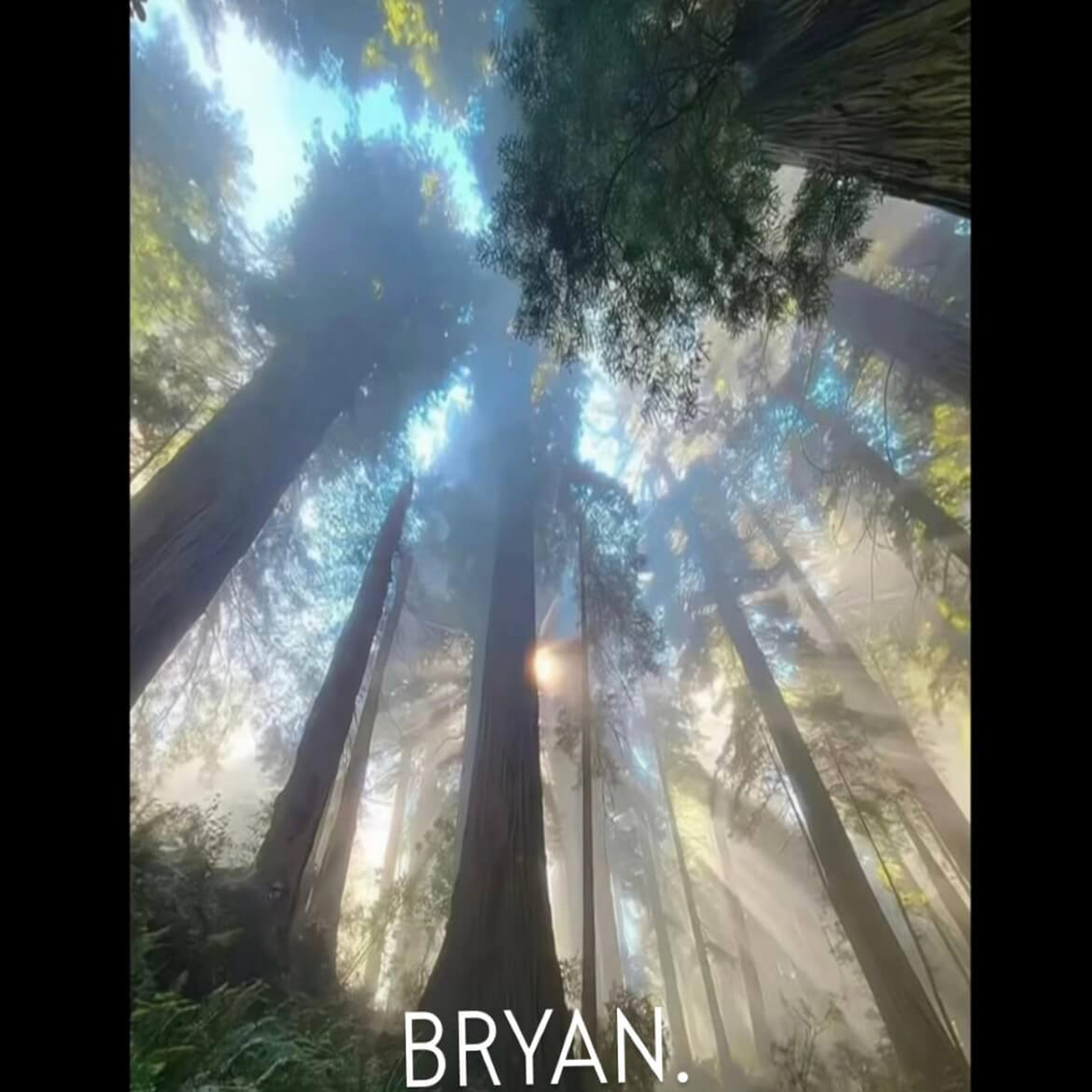 BRYAN.