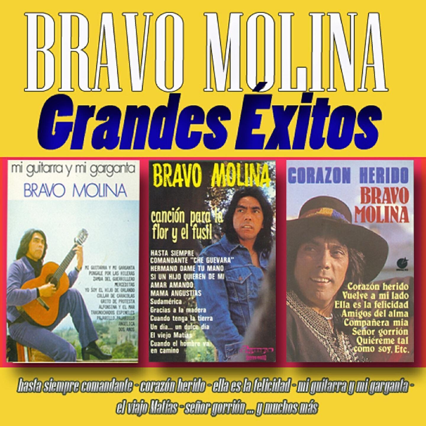 Bravo Molina