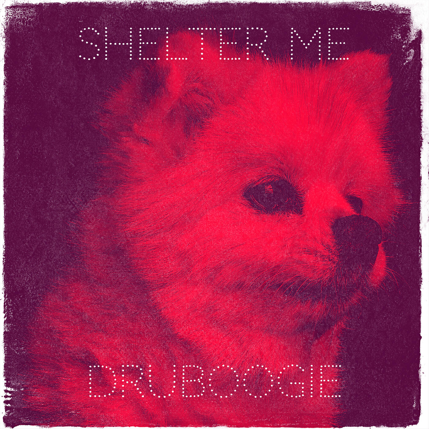Релиз Shelter Me