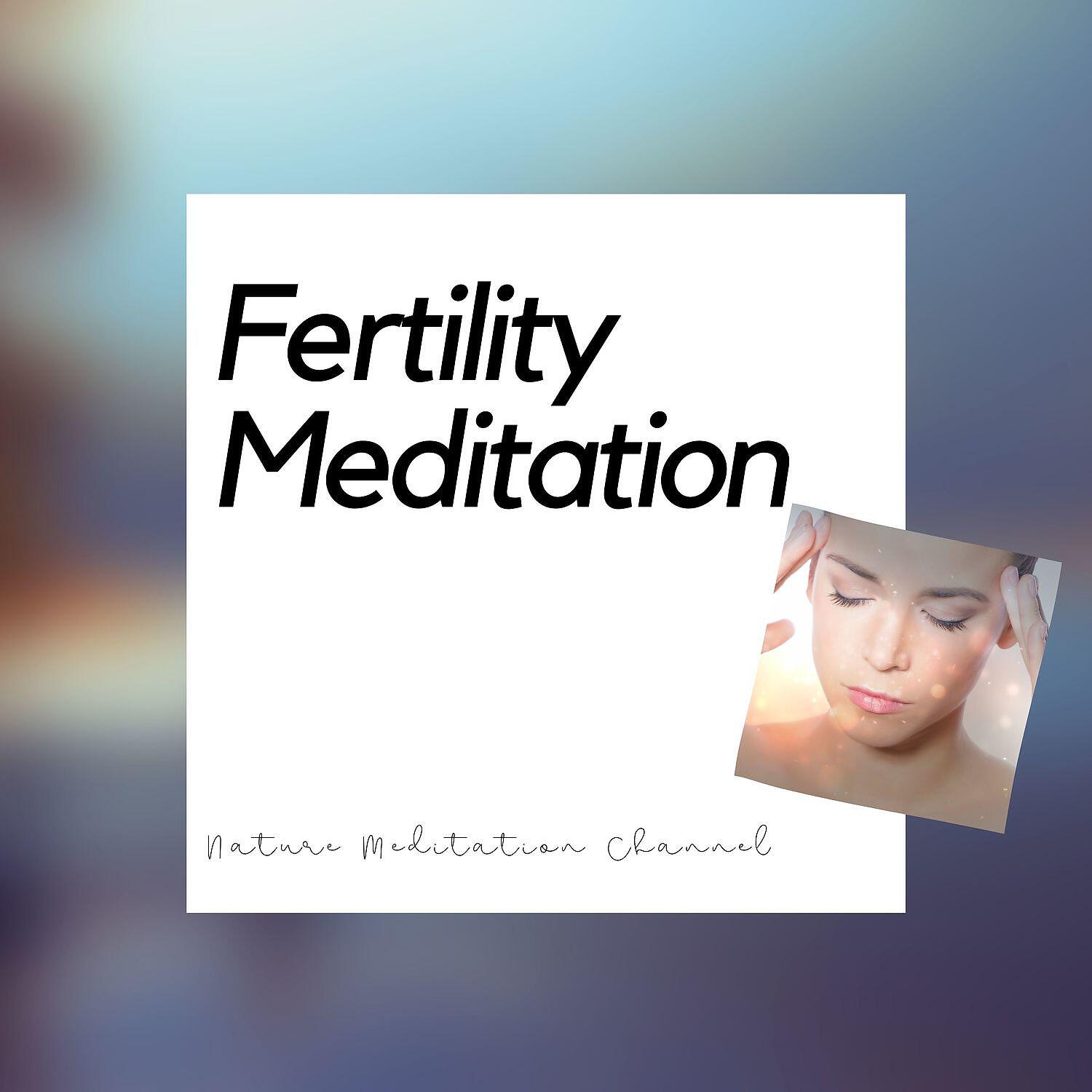 Постер альбома Fertility Meditation New Age Music