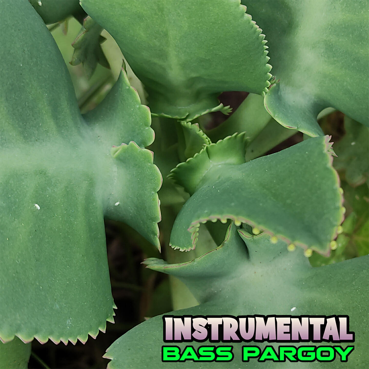 Релиз Instrumental Bass Pargoy