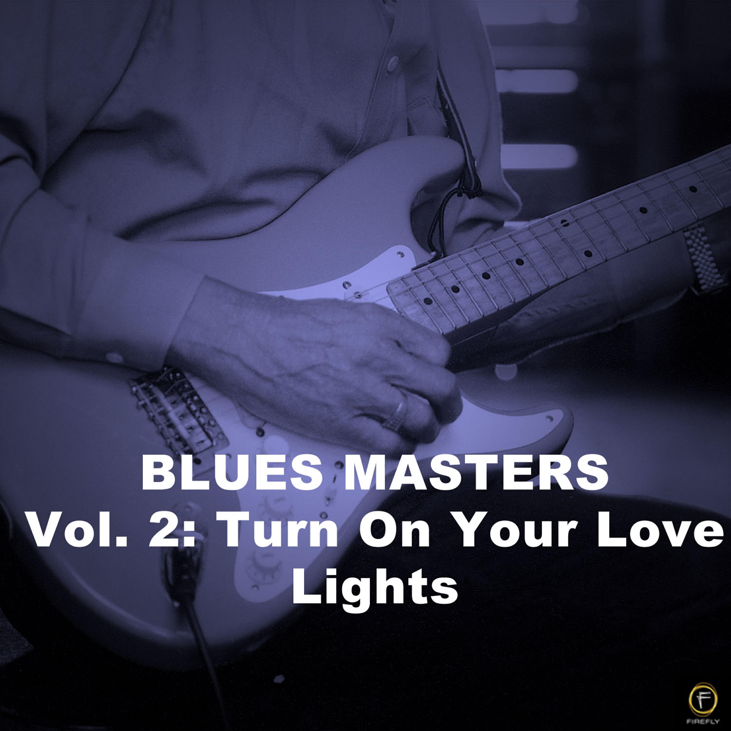 Релиз Blues Masters, Vol. 2: Turn On Your Love Lights