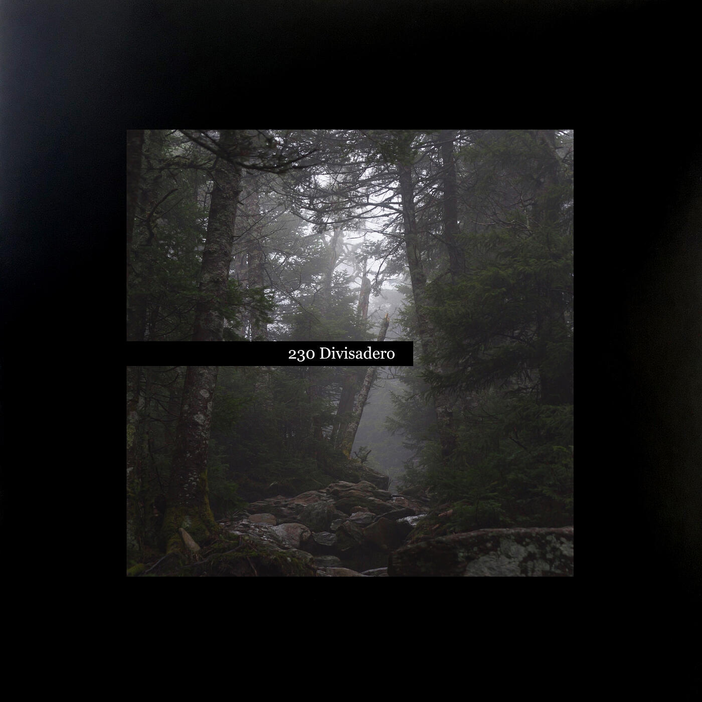 Релиз 230 Divisadero