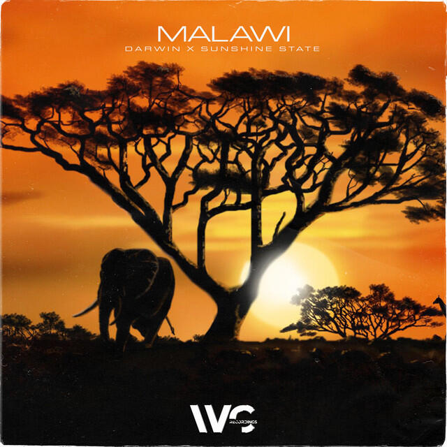Релиз Malawi