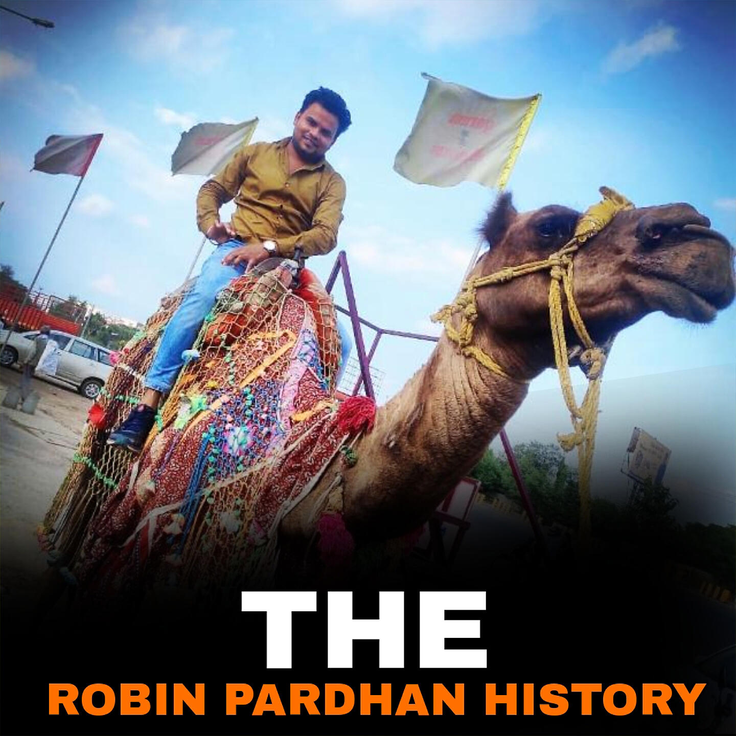 Релиз THE ROBIN PARDHAN HISTORY