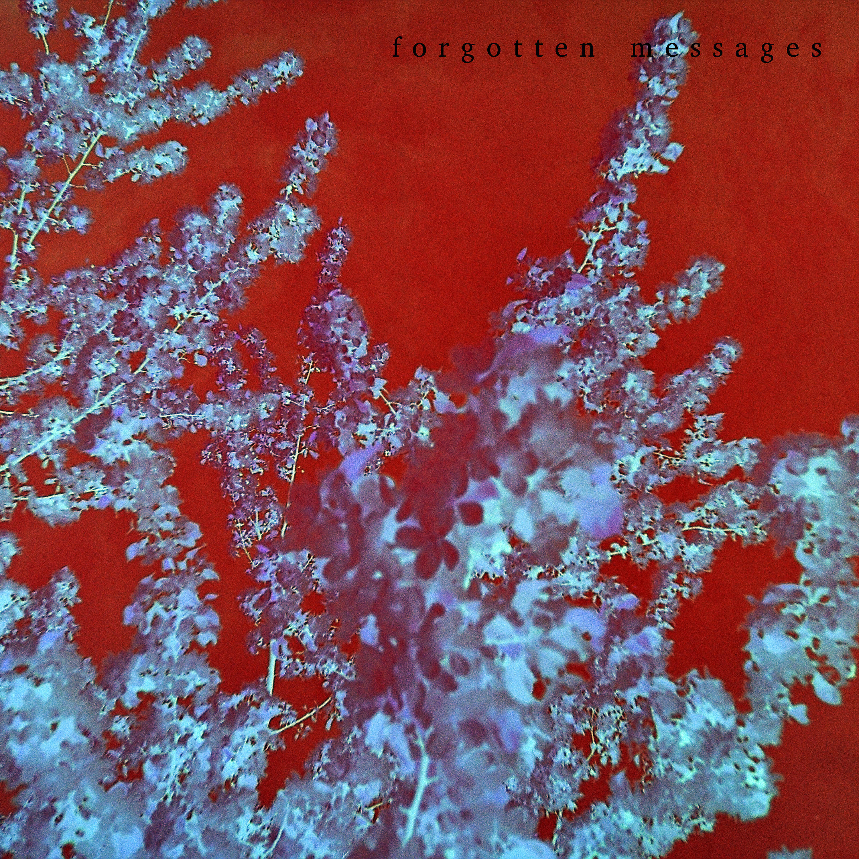 Релиз Forgotten Messages