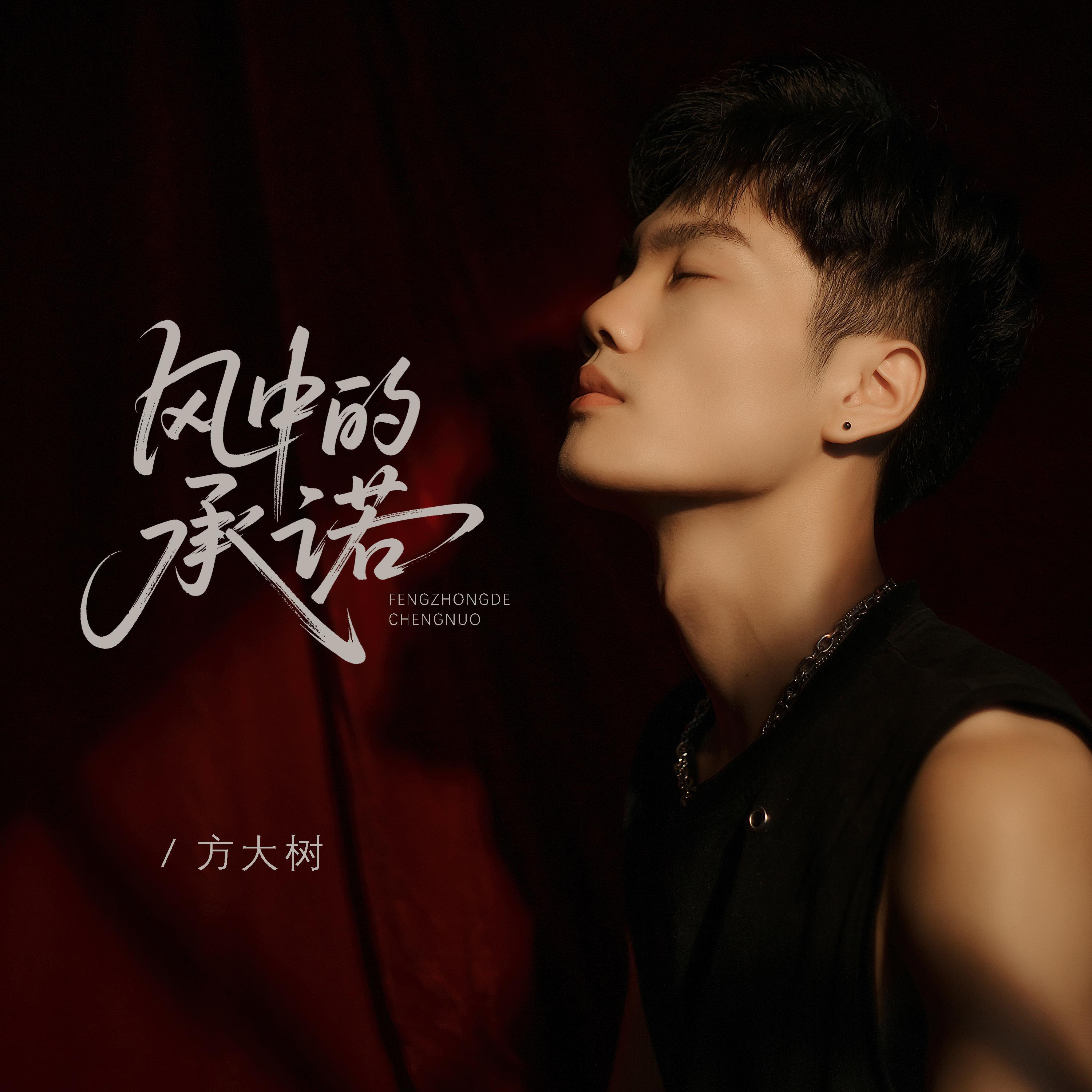 Релиз 风中的承诺