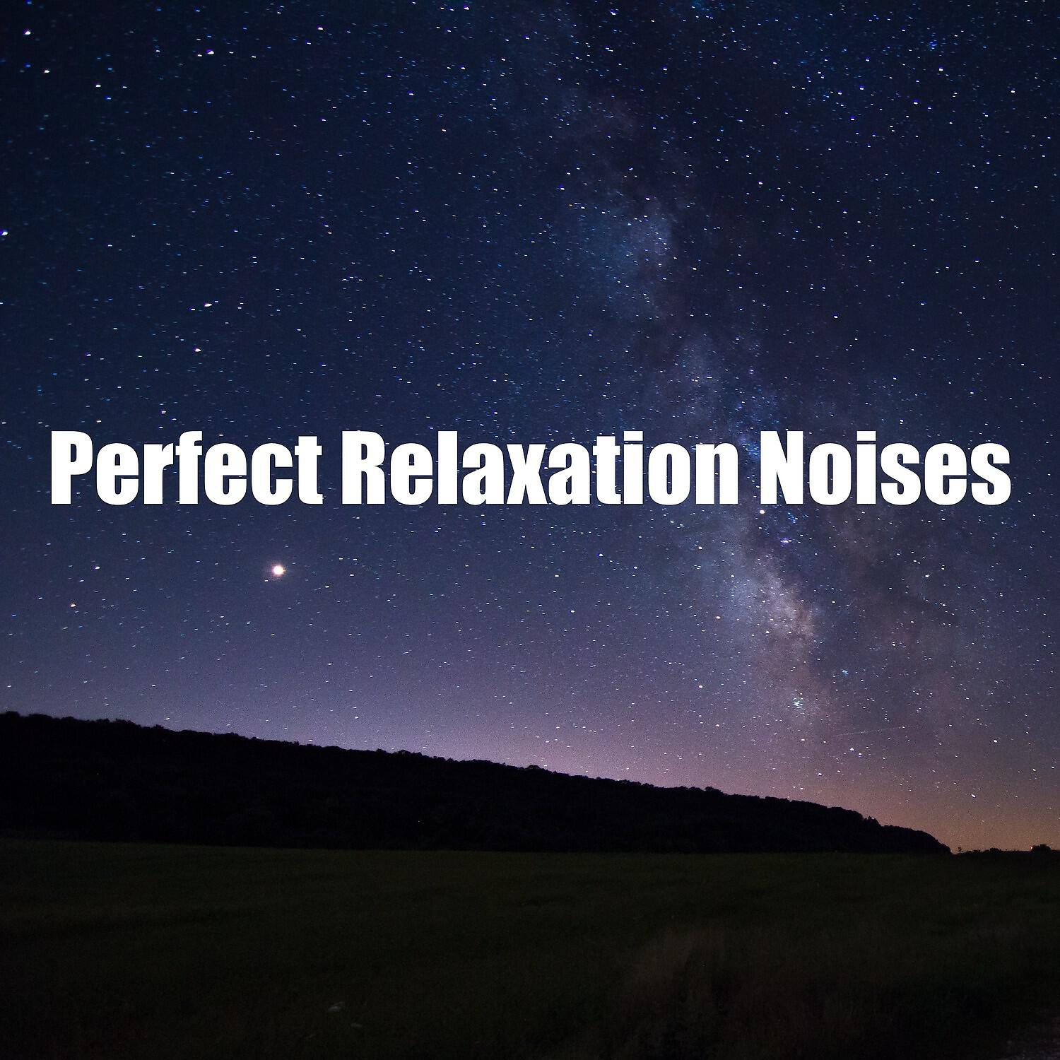 Релиз Perfect Relaxation Noises