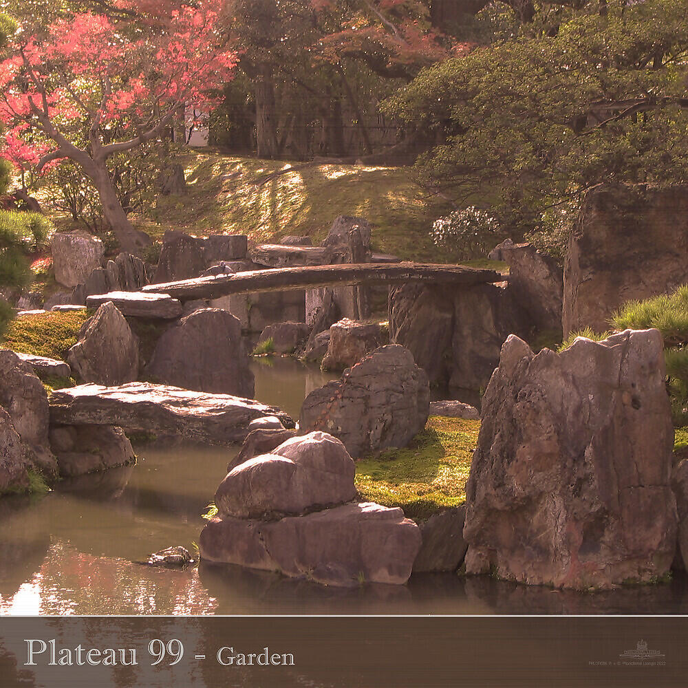 Релиз Garden