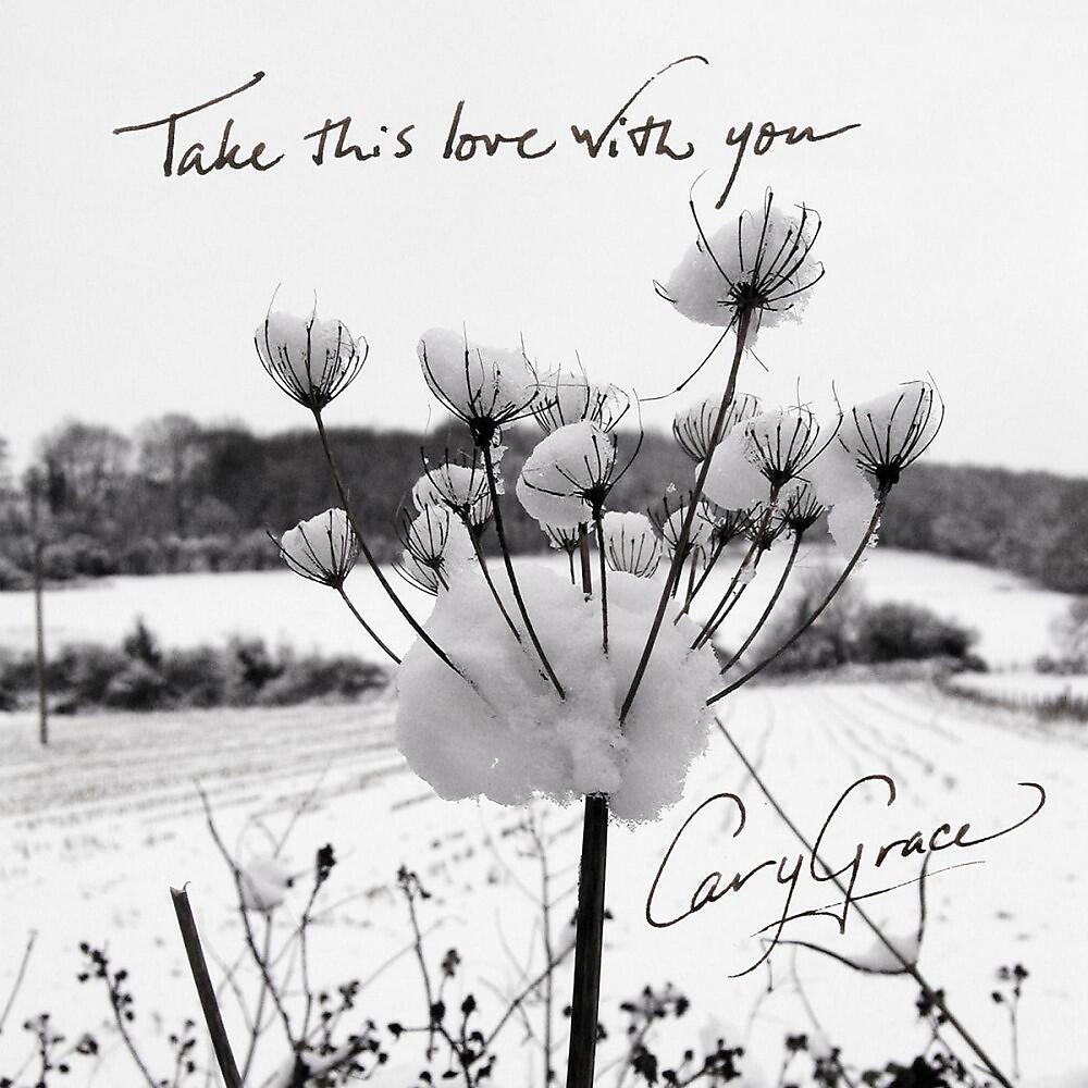 Релиз Take This Love with You