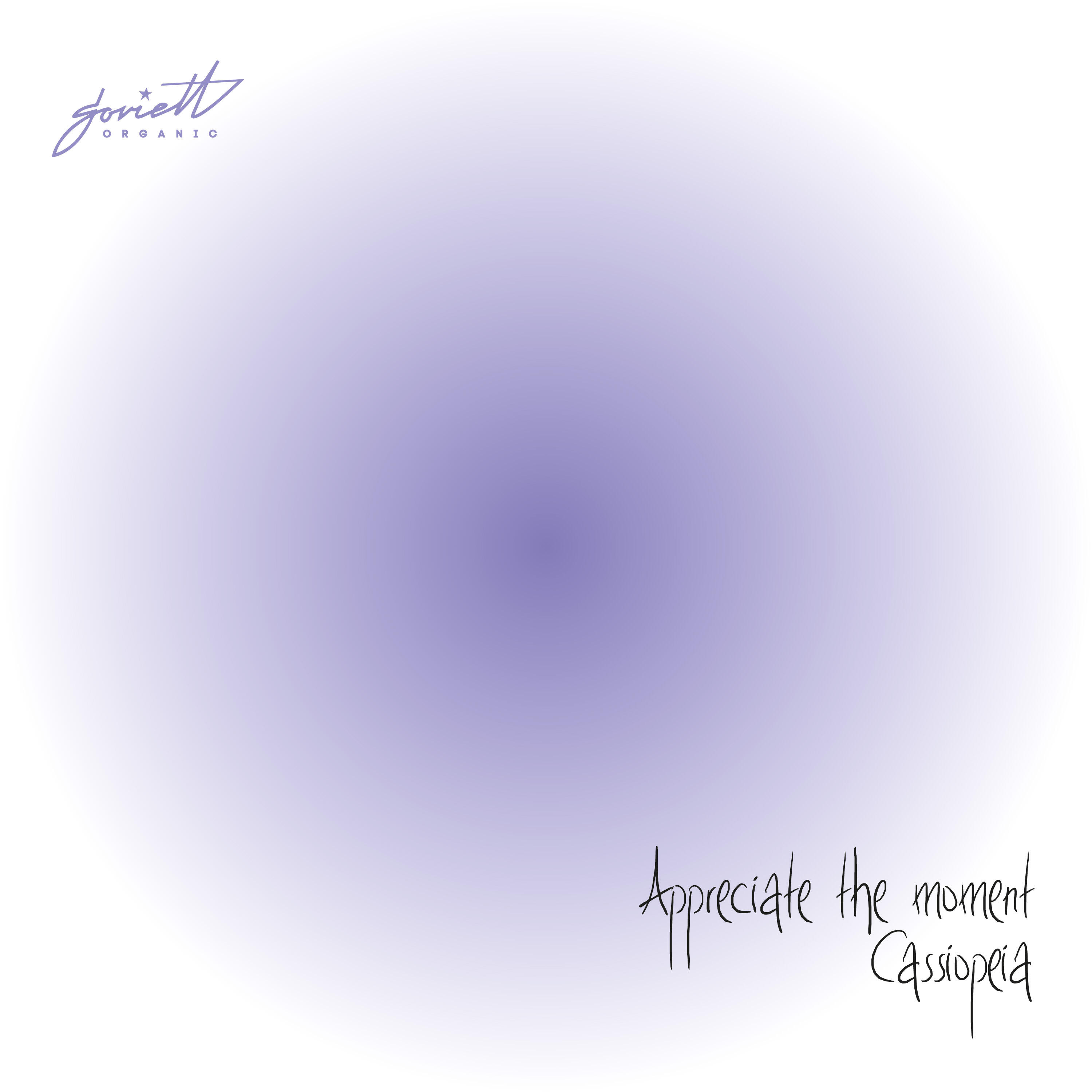 Релиз Appreciate the Moment