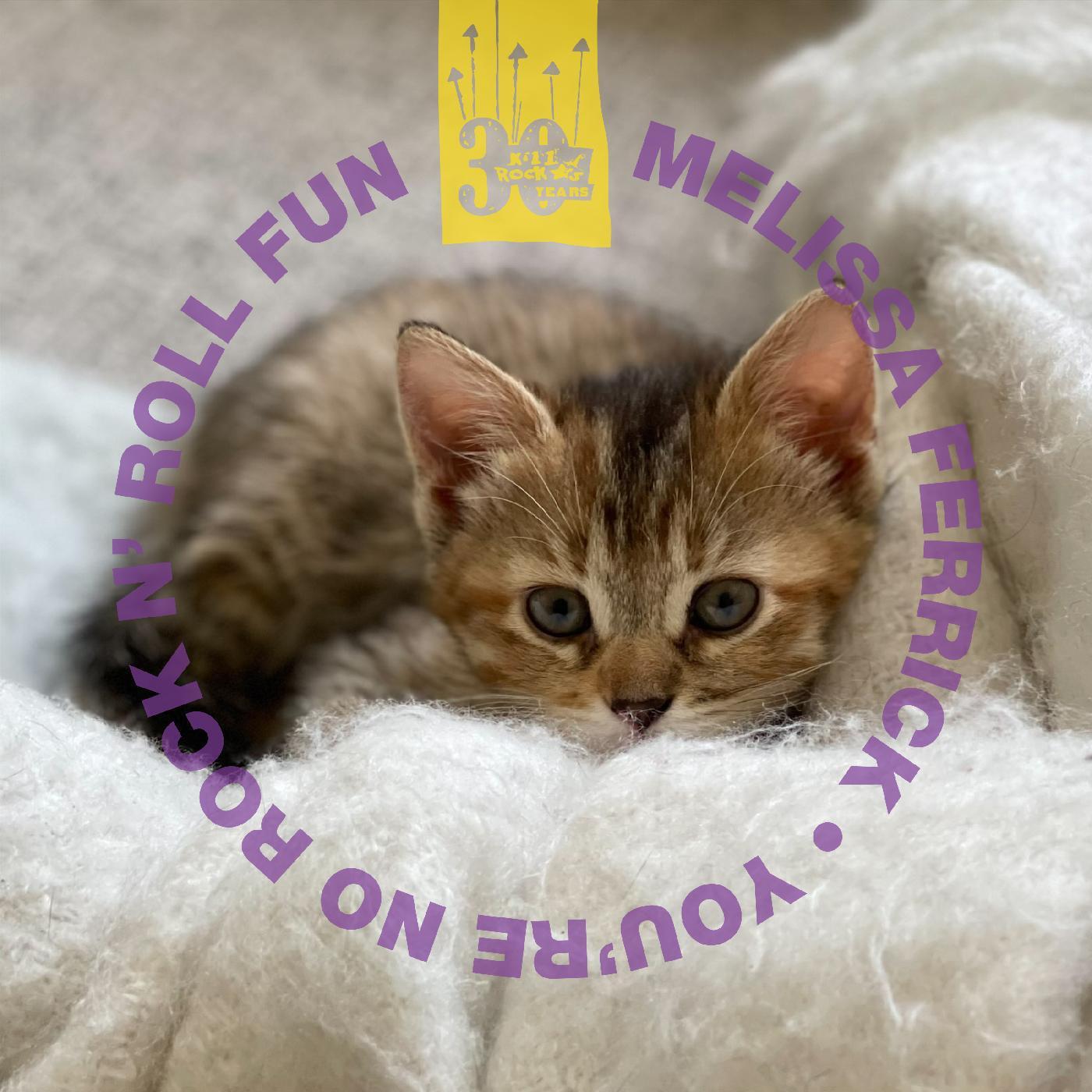 Релиз You're No Rock N' Roll Fun