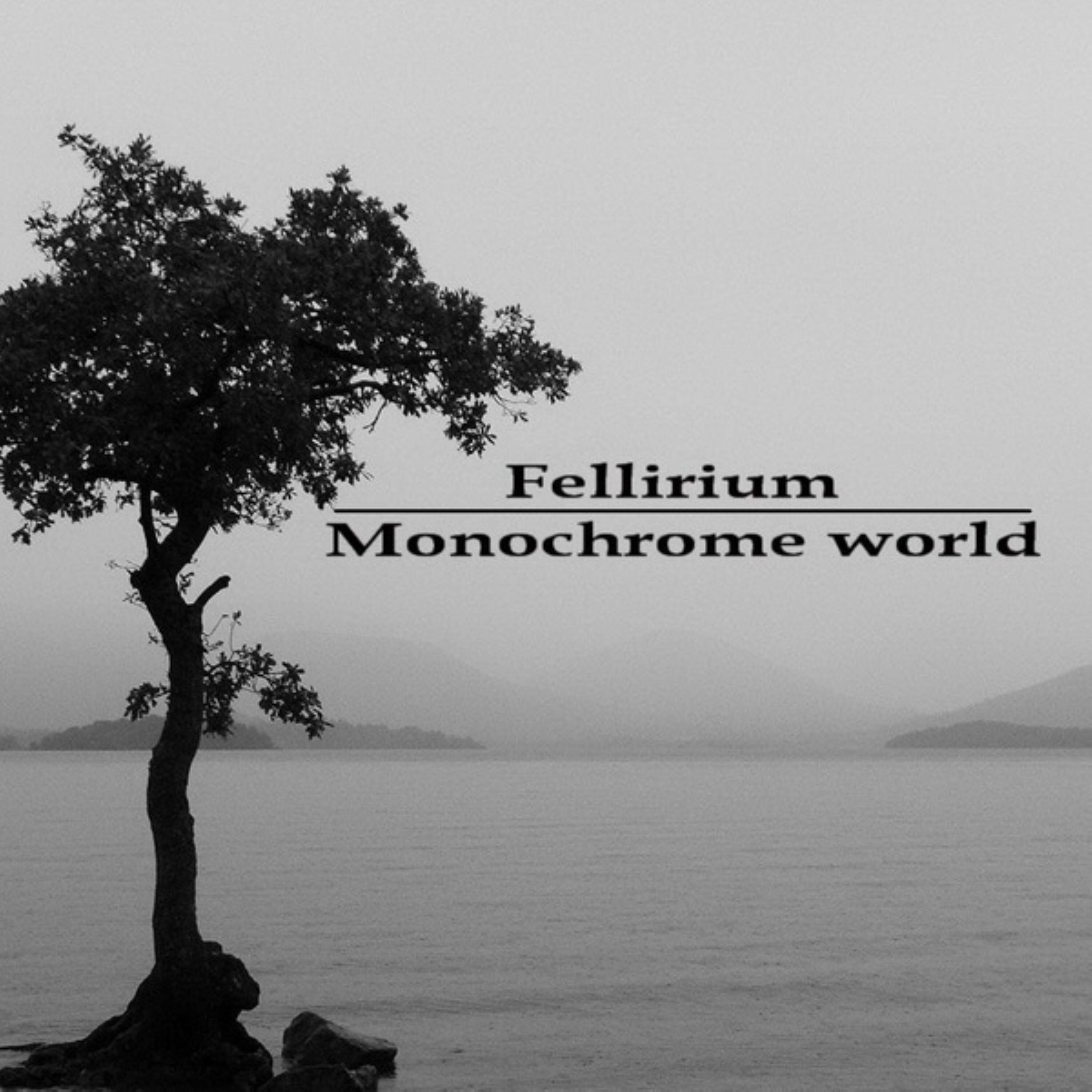 Релиз Monochrome World