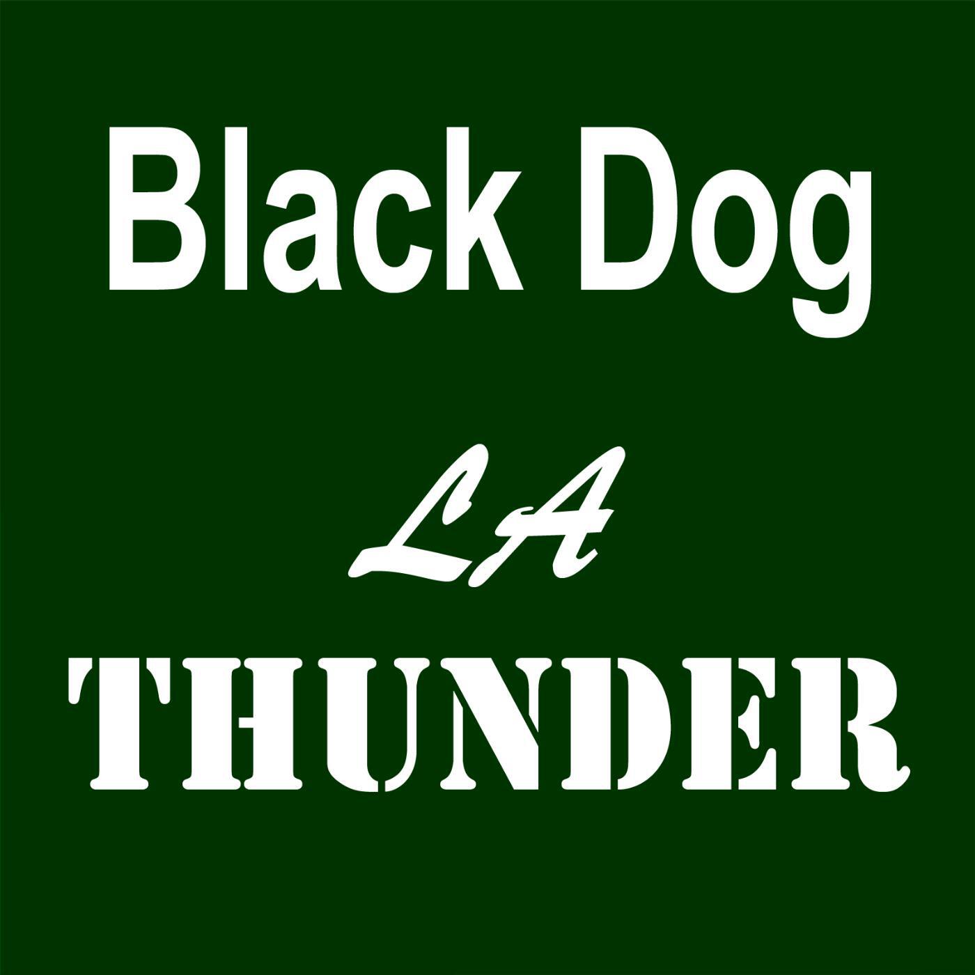 Релиз Black Dog
