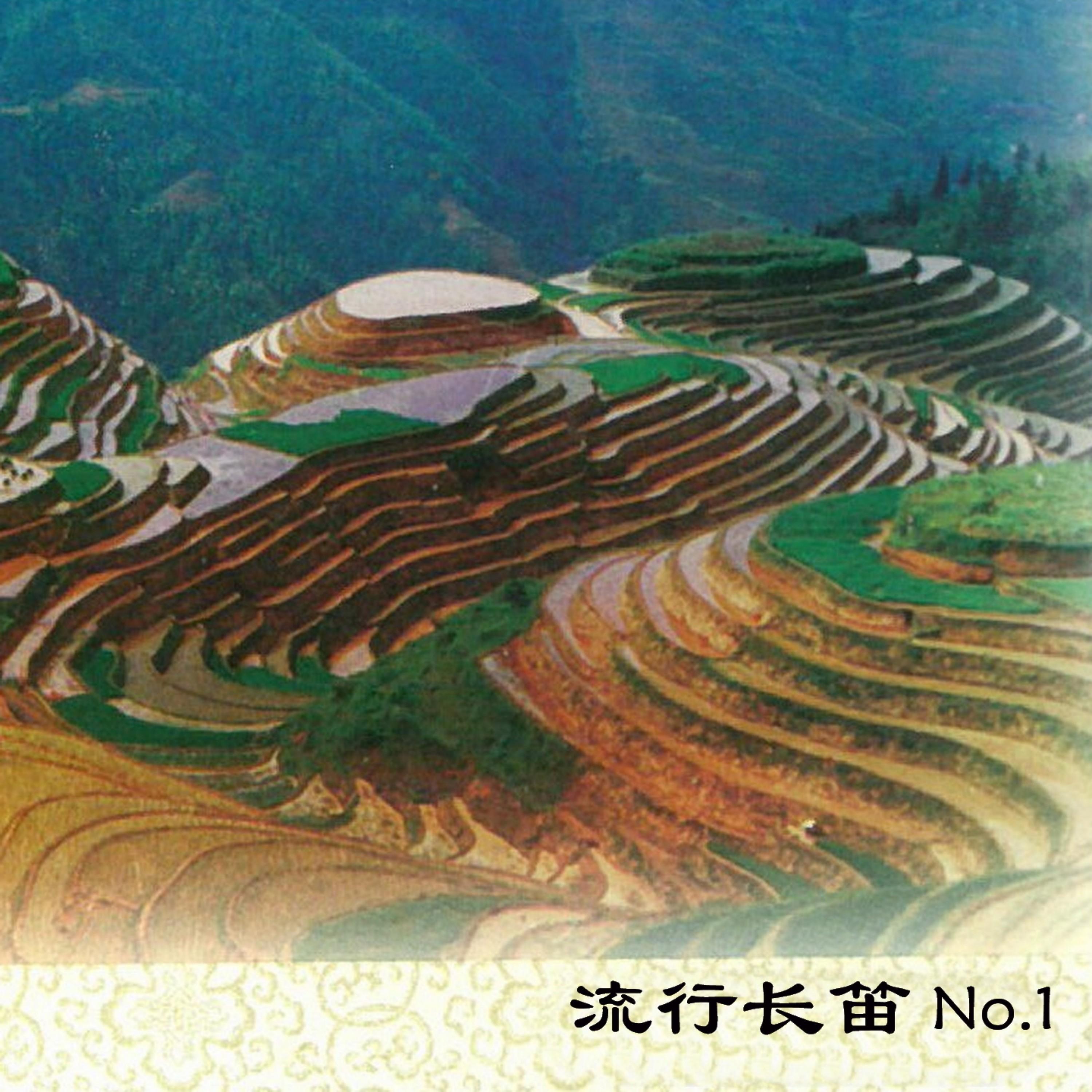 Релиз 流行长笛 No.1