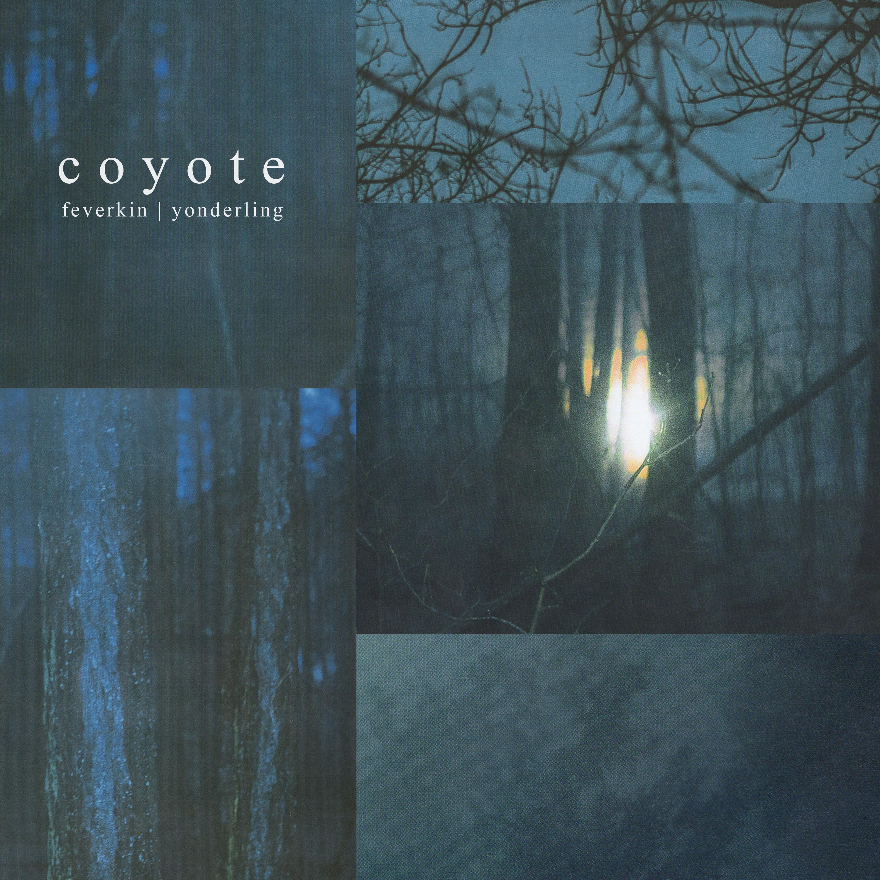 Релиз Coyote