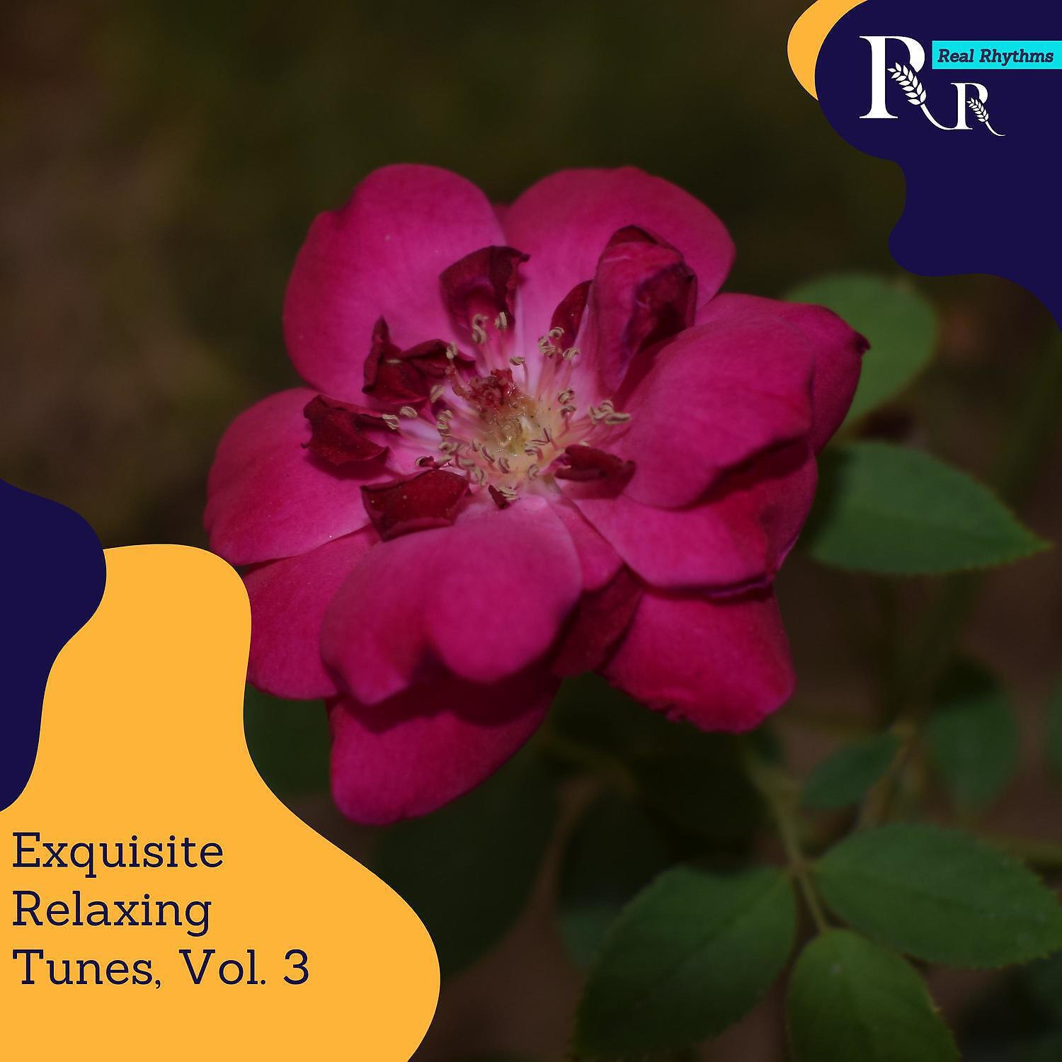Релиз Exquisite Relaxing Tunes, Vol. 3