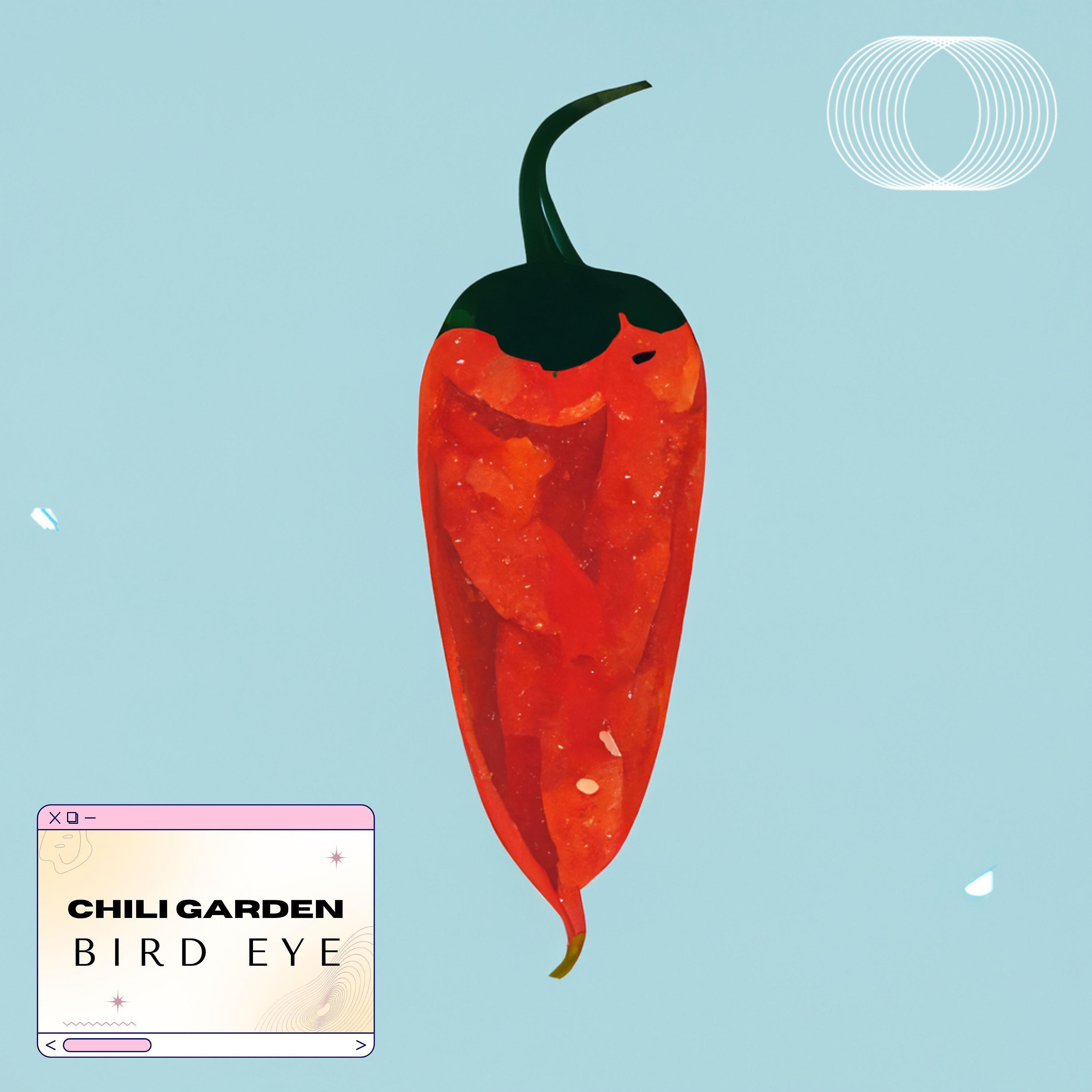 Релиз Bird Eye