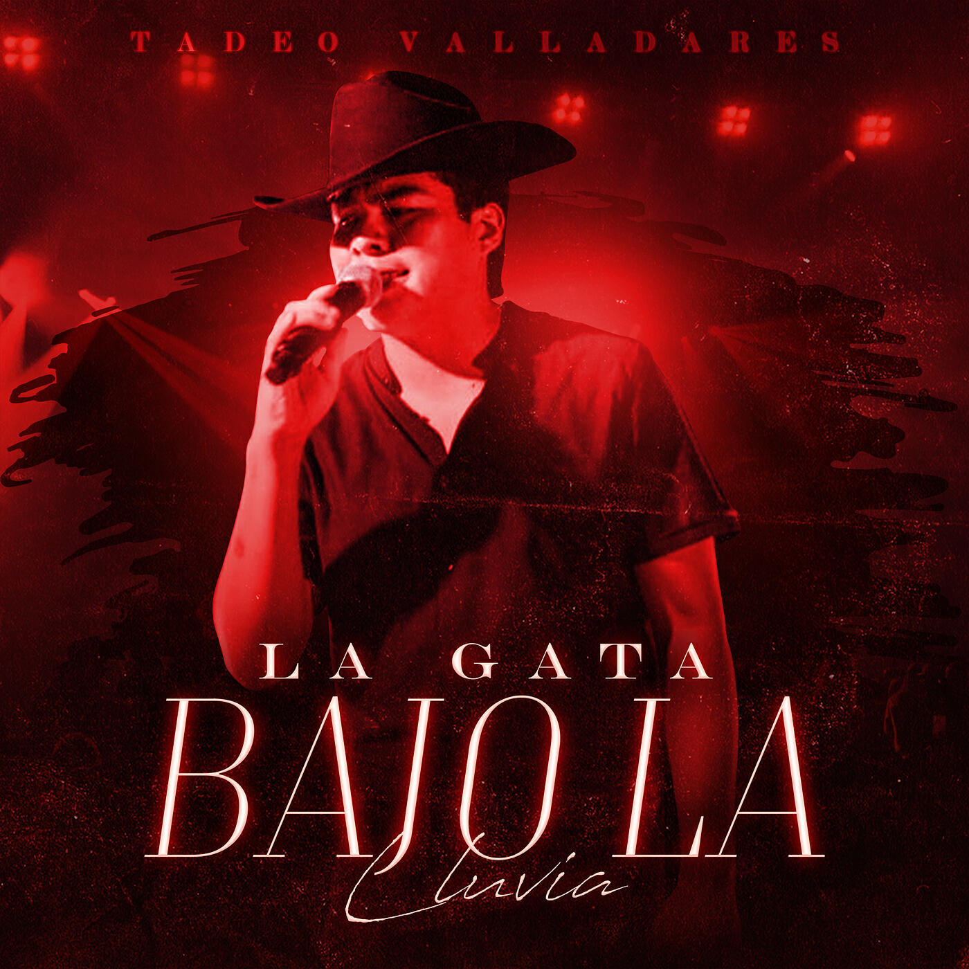 Релиз La Gata Bajo La Lluvia (En Vivo)
