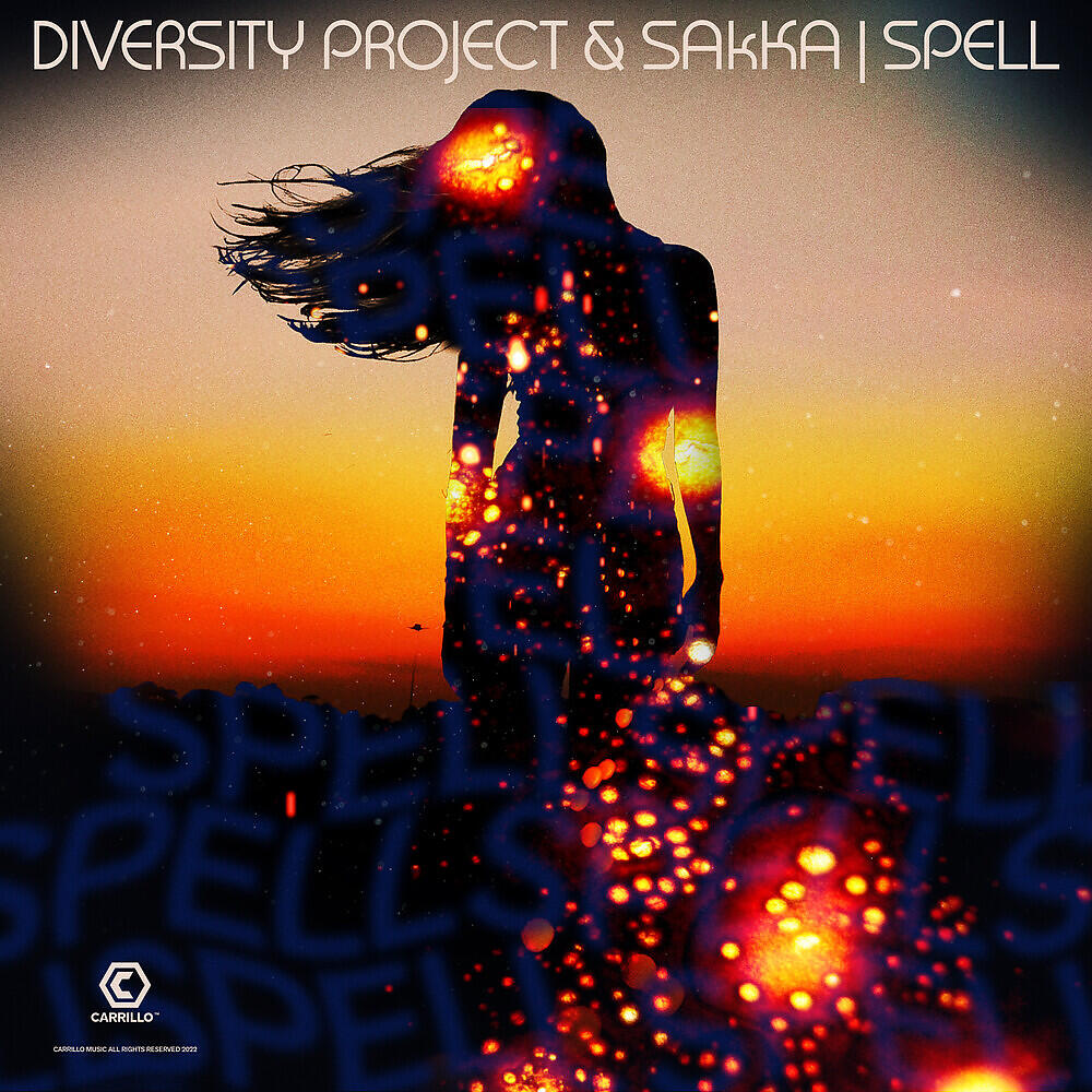 Diversity Project