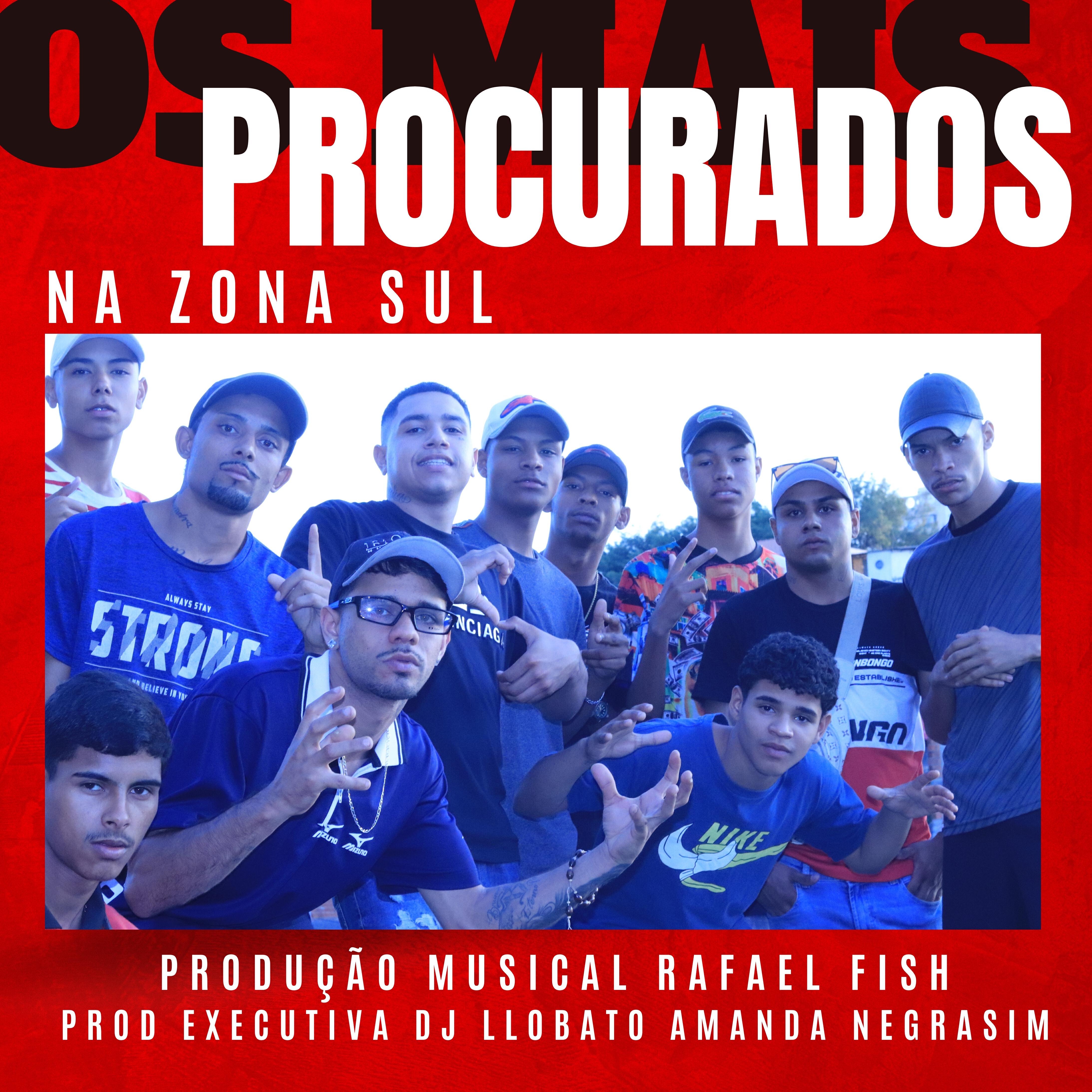 Релиз Na Zona Sul