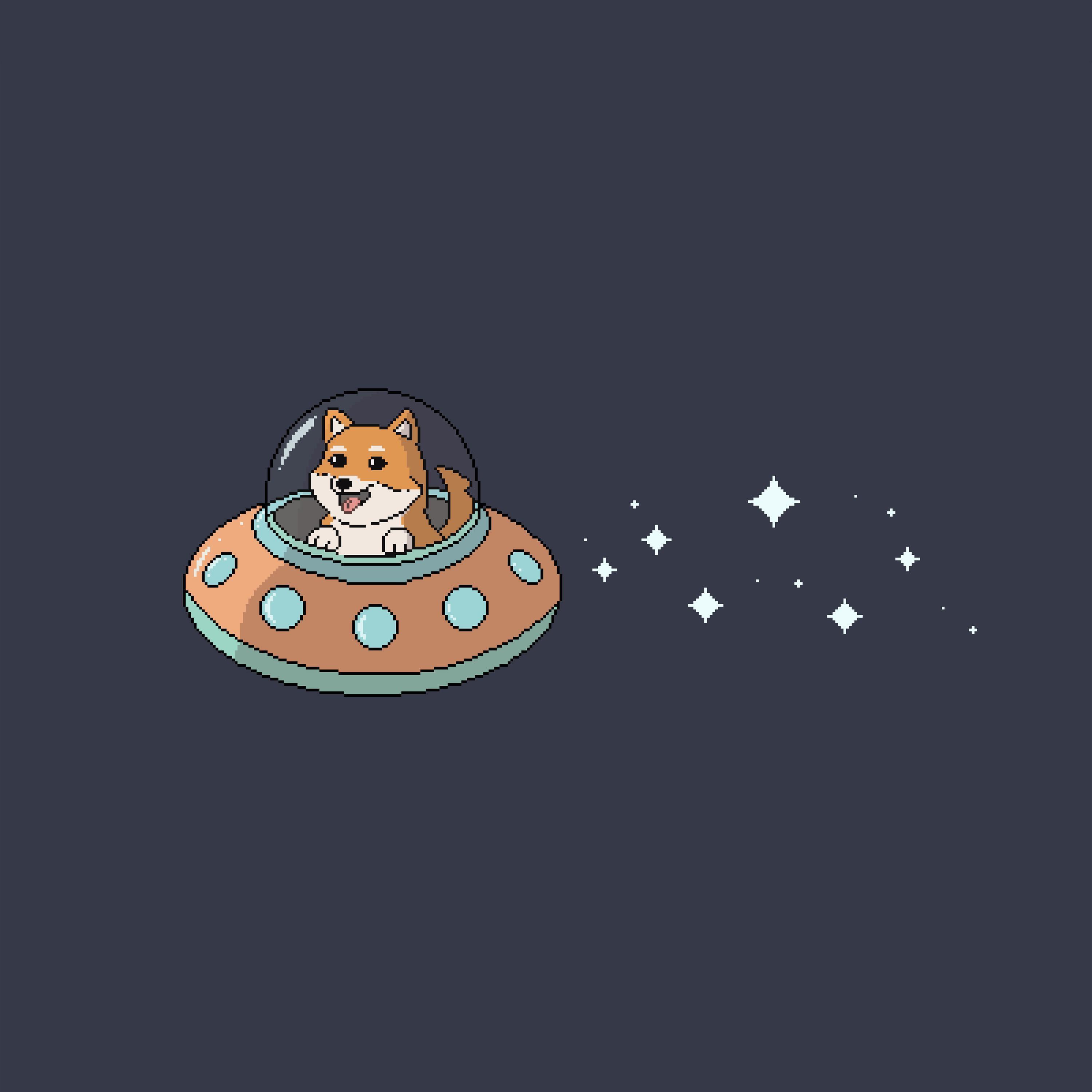 Релиз space shiba