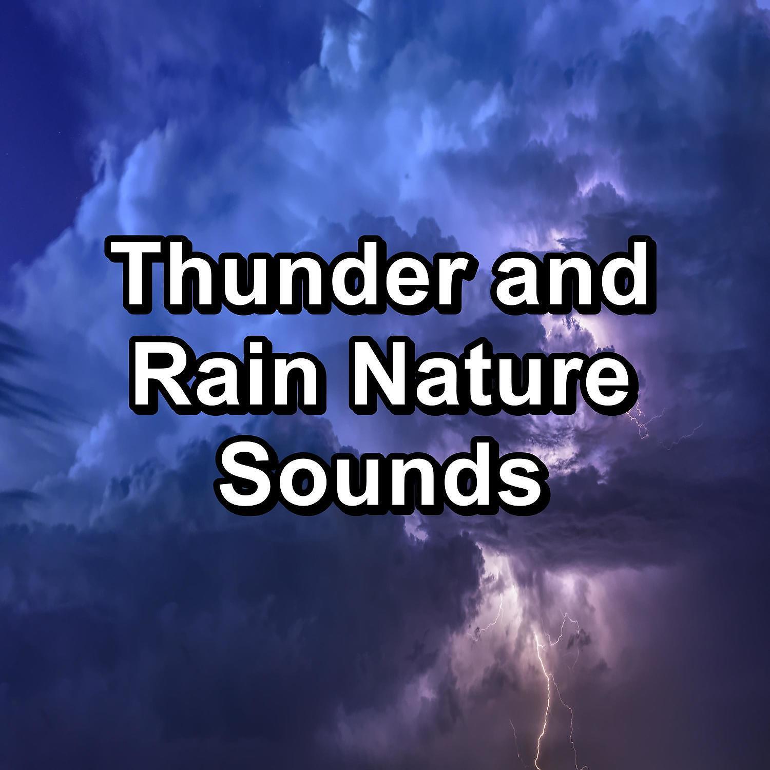 Постер альбома Thunder and Rain Nature Sounds