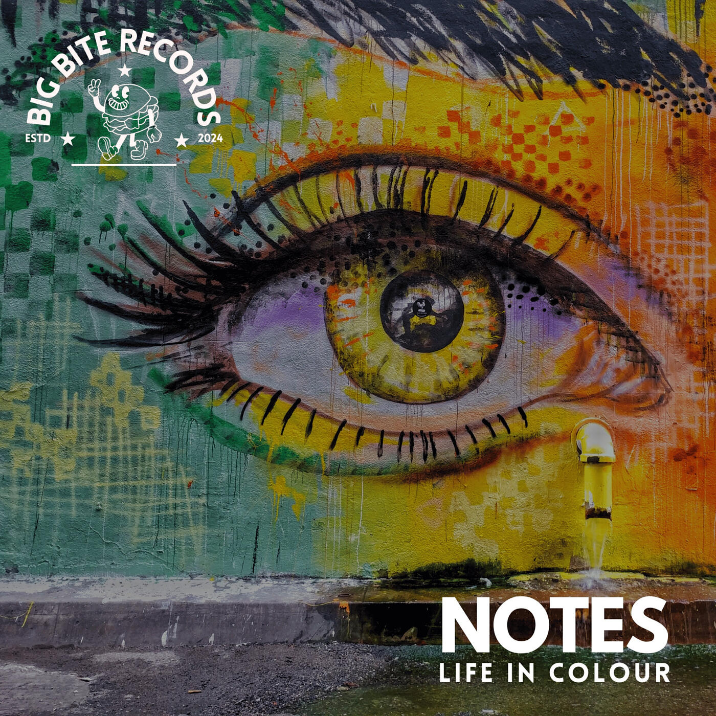 Релиз Life in Colour