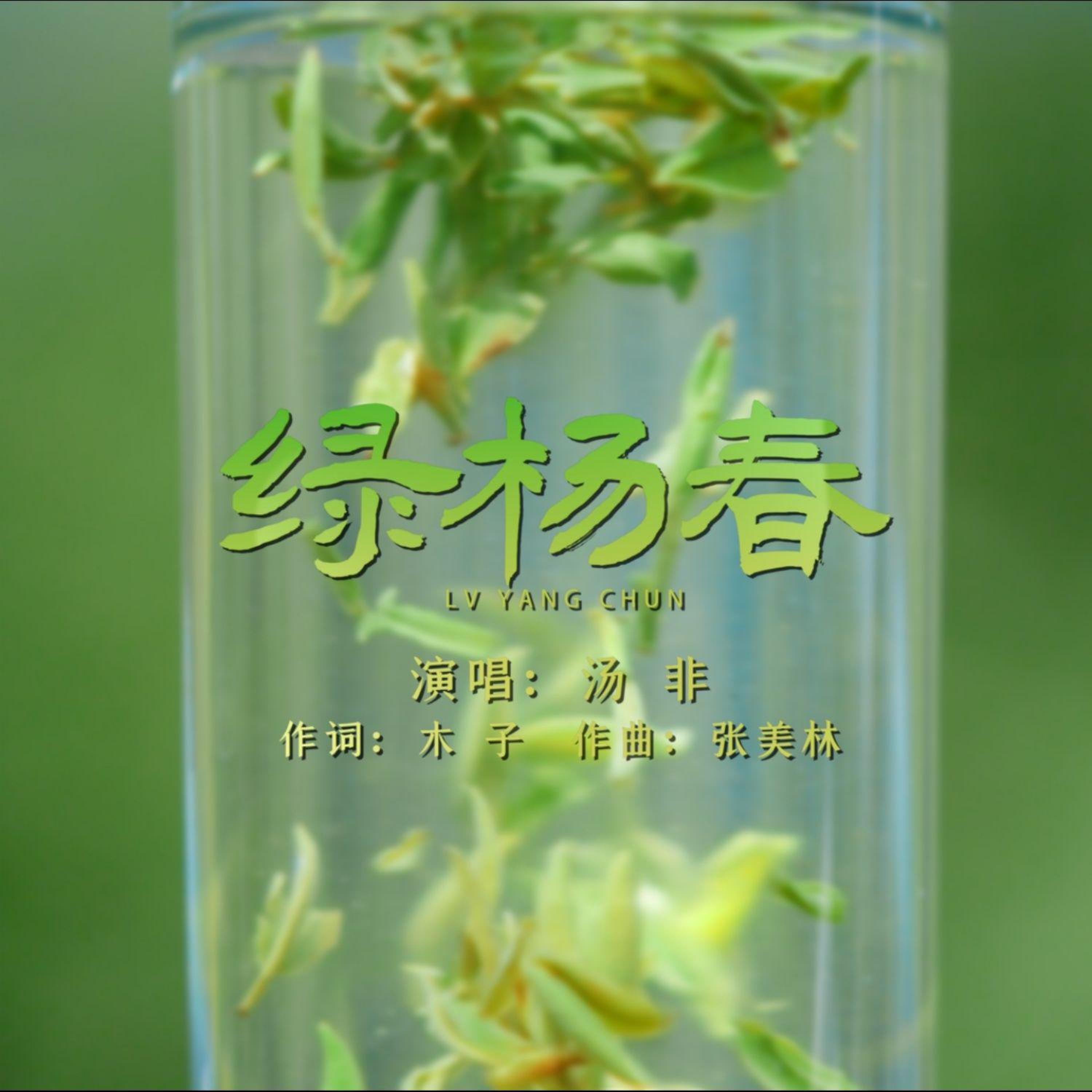 Релиз 绿杨春