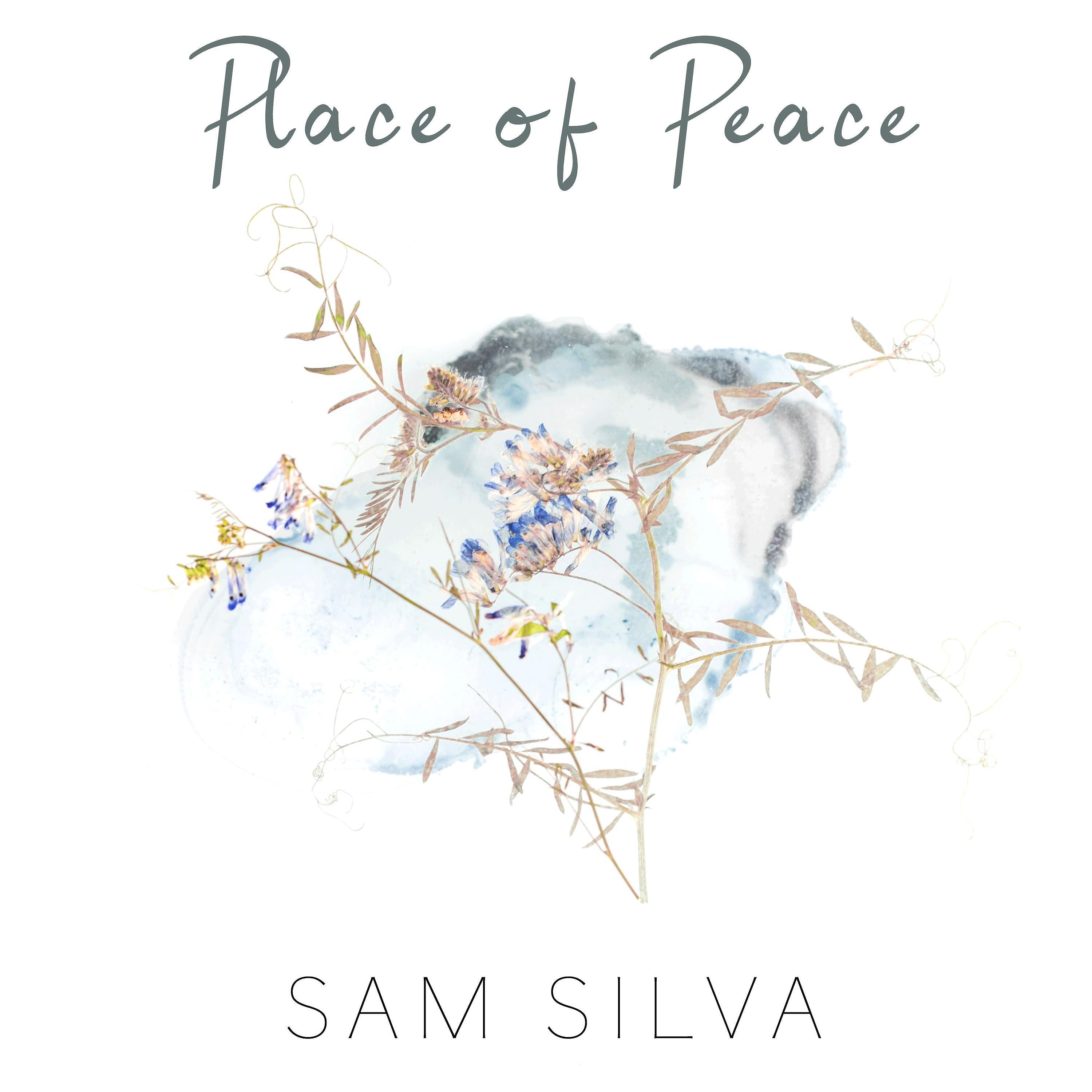 Релиз Place of Peace