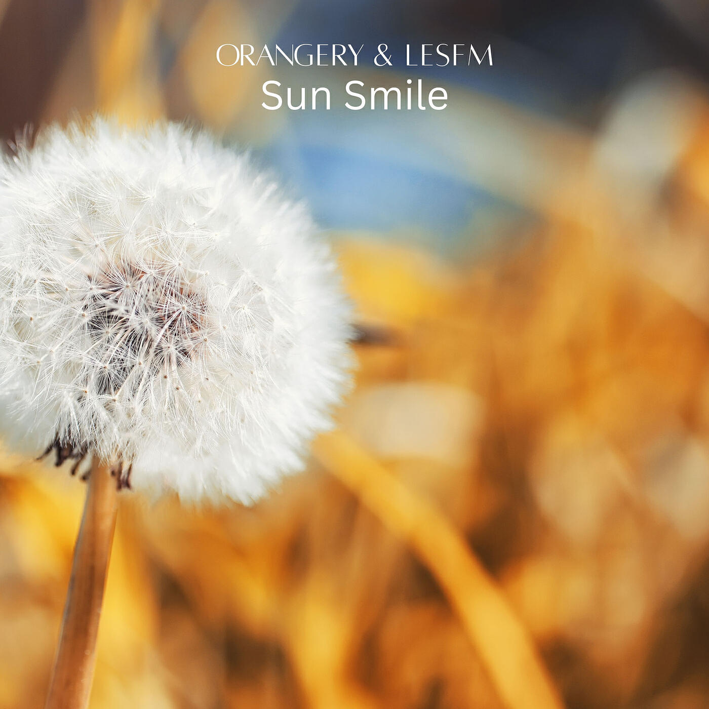 Релиз Sun Smile